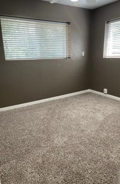 Textured walls with neutral paint, two windows with horizontal blinds, and neutral-toned carpet flooring