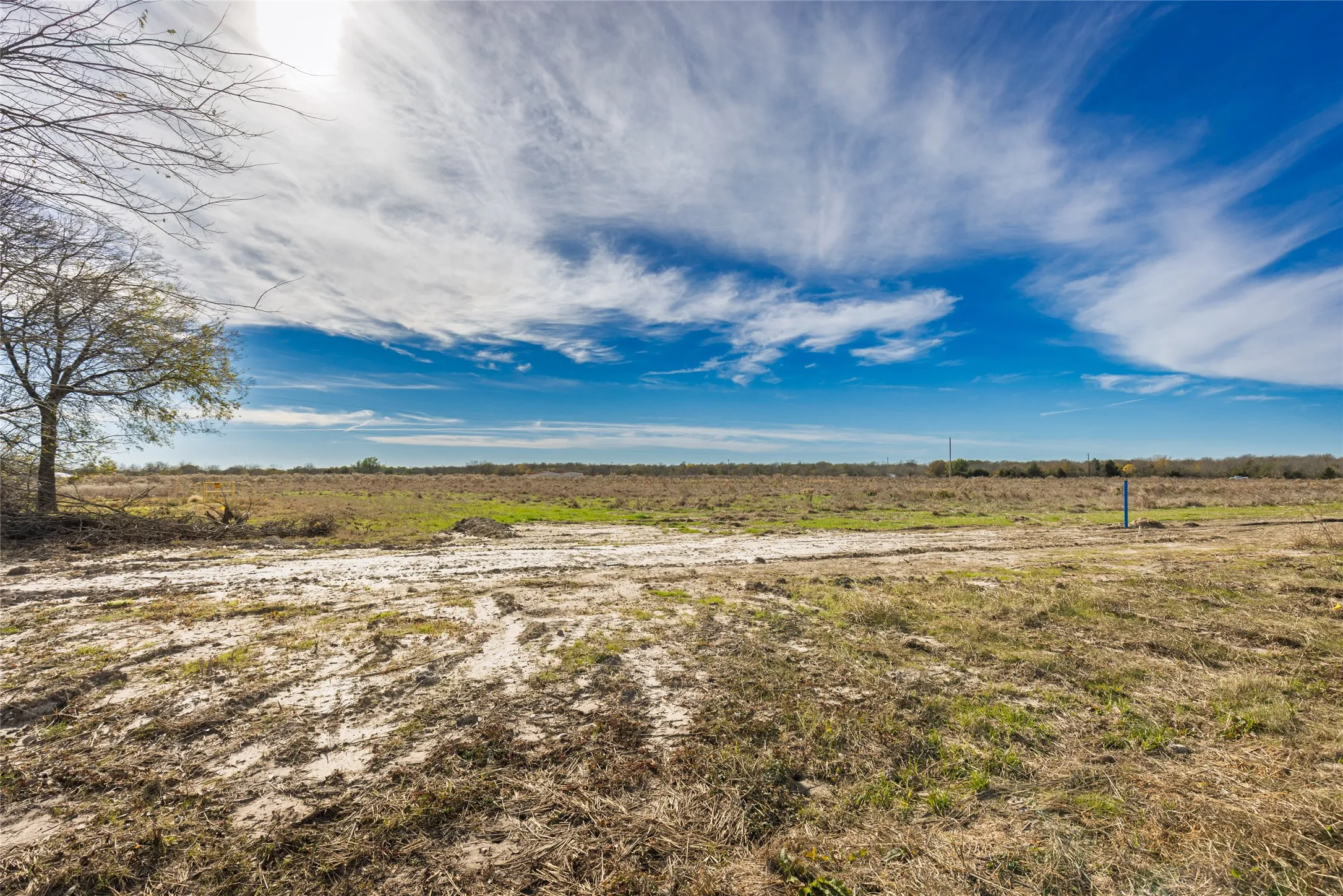 View of yard with a view of rural / pastoral area