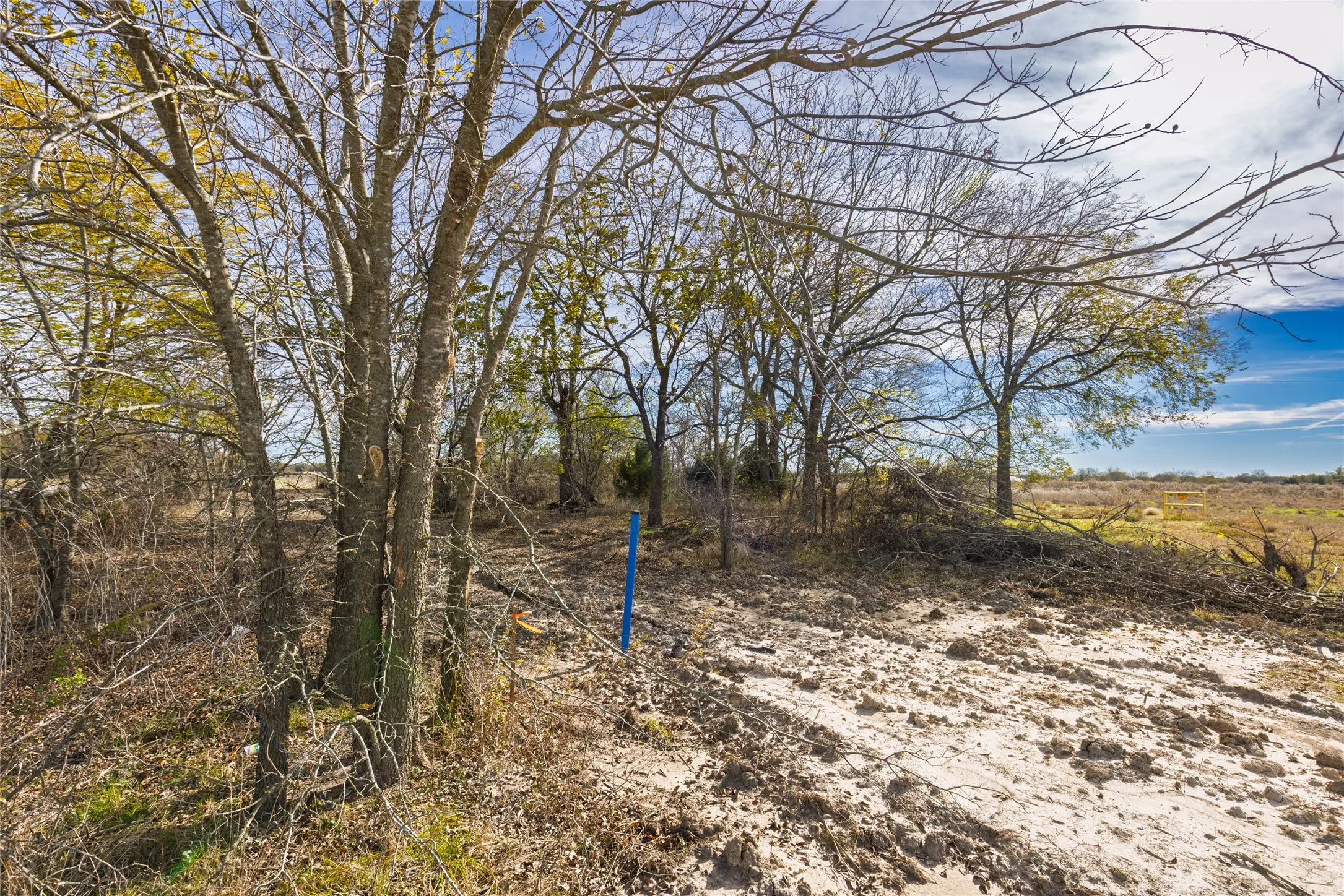 Unimproved Land For Sale in Hunt County , Lot 10 County Road 4609, Commerce, Texas 75428, 0, 0, Garage spaces, 0 Sqft, built in 0, mls#21139143, Real Estate Agent in Commerce, Homes For Sale in Hunt county, Homes For Sale in Commerce, Realtor in Commerce Texas, Real Estate Brokerage Independent Realty Texas, Luminita Cordes Realtor