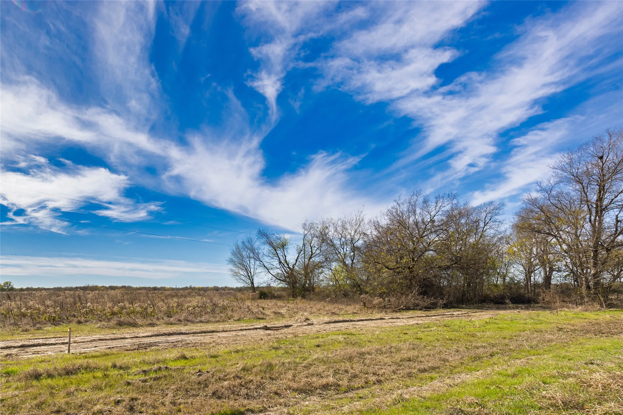 View of yard with a view of rural / pastoral area