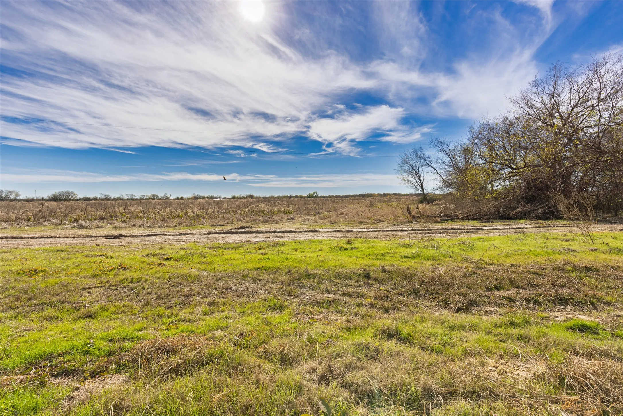 Unimproved Land For Sale in Hunt County , Lot 10 County Road 4609, Commerce, Texas 75428, 0, 0, Garage spaces, 0 Sqft, built in 0, mls#21139143, Real Estate Agent in Commerce, Homes For Sale in Hunt county, Homes For Sale in Commerce, Realtor in Commerce Texas, Real Estate Brokerage Independent Realty Texas, Luminita Cordes Realtor