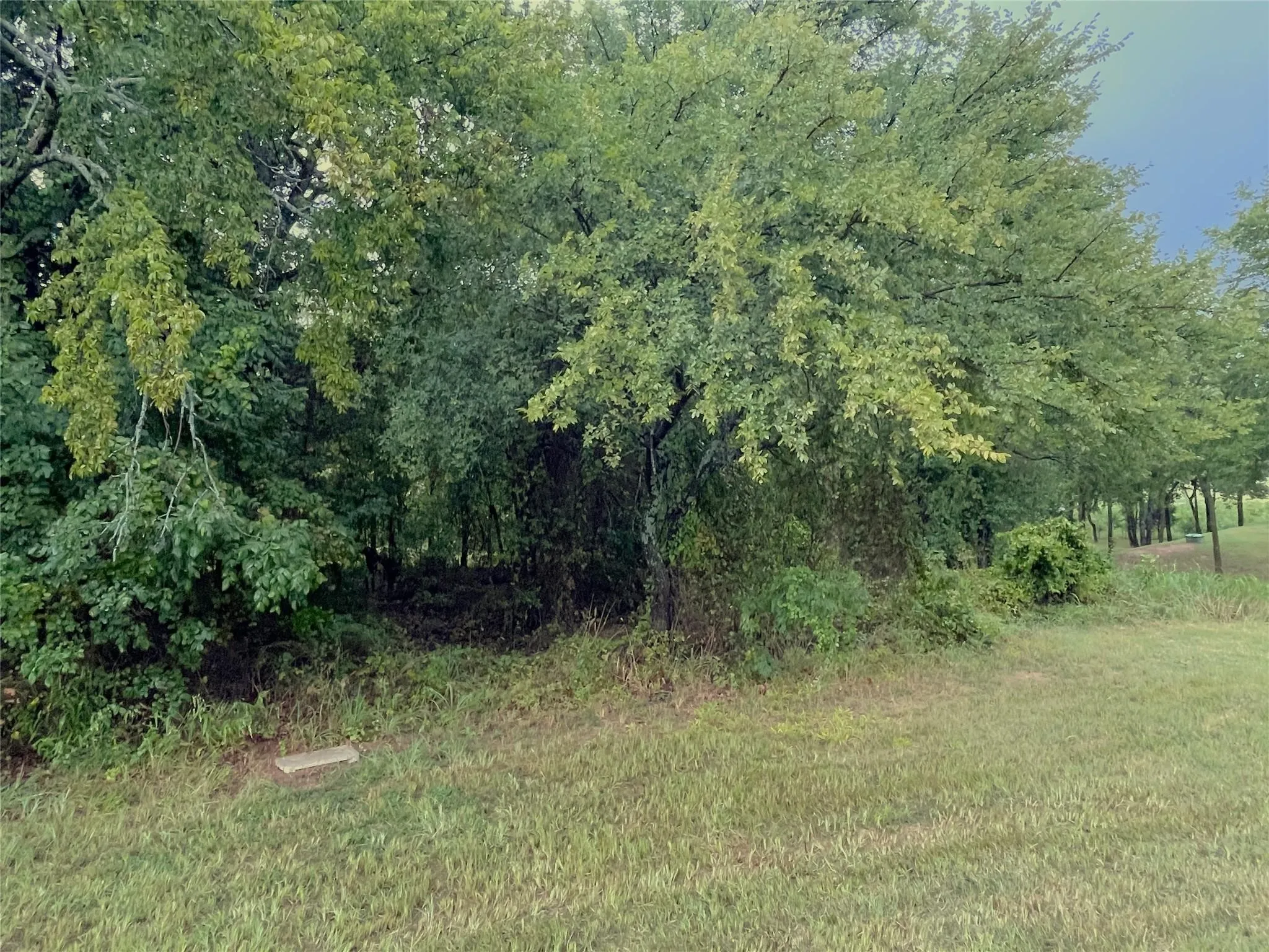 Unimproved Land For Sale in Grayson County , Lot 97A Stonewolf Court, Gordonville, Texas 76245, 0, 0, Garage spaces, 0 Sqft, built in 0, Price $55,000, mls#21138039, Real Estate Agent in Gordonville, Homes For Sale in Grayson county, Homes For Sale in Gordonville, Realtor in Gordonville Texas, Real Estate Brokerage Independent Realty Texas, Luminita Cordes Realtor