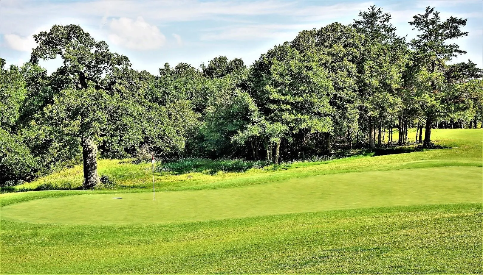 Unimproved Land For Sale in Grayson County , Lot 97A Stonewolf Court, Gordonville, Texas 76245, 0, 0, Garage spaces, 0 Sqft, built in 0, Price $55,000, mls#21138039, Real Estate Agent in Gordonville, Homes For Sale in Grayson county, Homes For Sale in Gordonville, Realtor in Gordonville Texas, Real Estate Brokerage Independent Realty Texas, Luminita Cordes Realtor