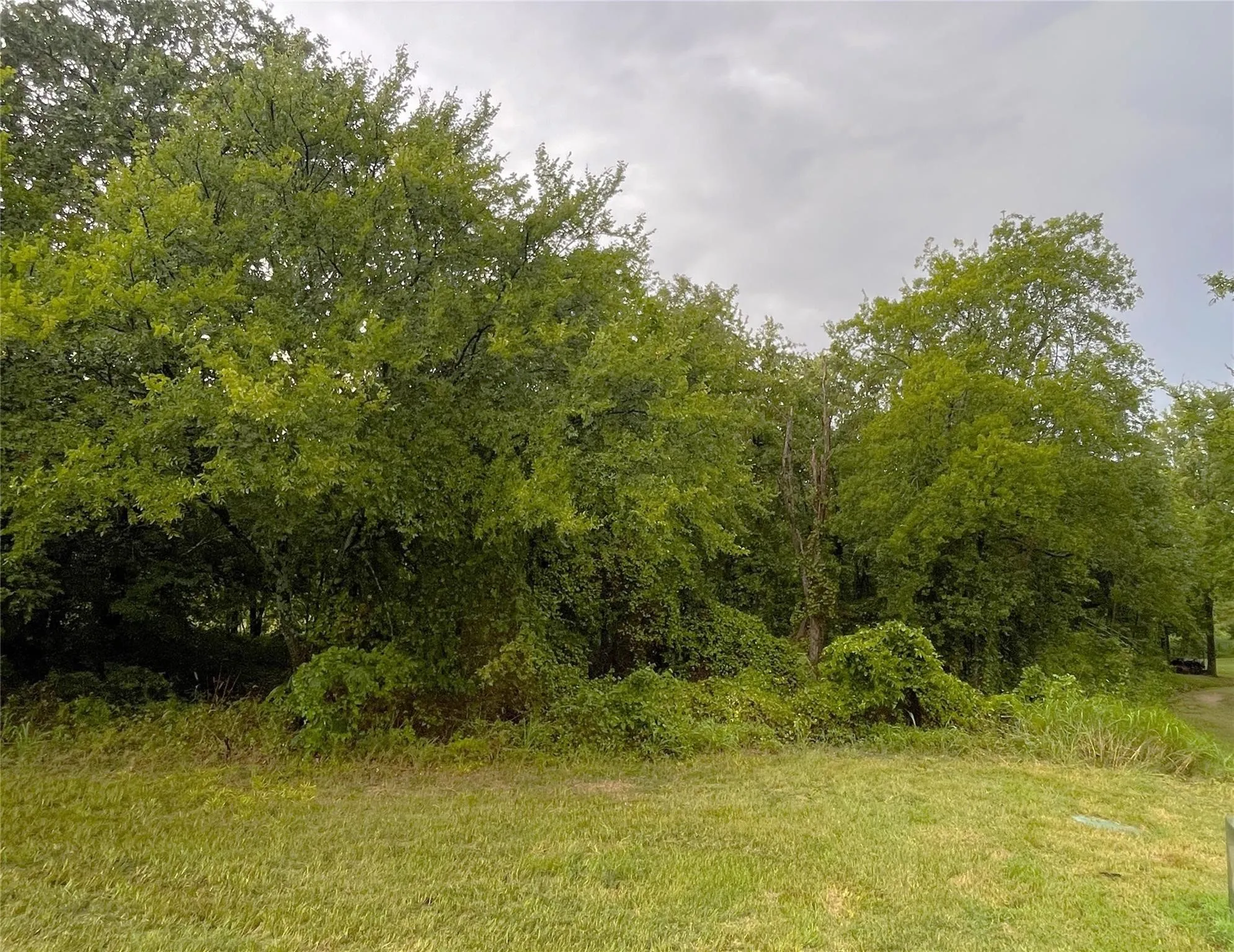 Unimproved Land For Sale in Grayson County , Lot 97A Stonewolf Court, Gordonville, Texas 76245, 0, 0, Garage spaces, 0 Sqft, built in 0, Price $55,000, mls#21138039, Real Estate Agent in Gordonville, Homes For Sale in Grayson county, Homes For Sale in Gordonville, Realtor in Gordonville Texas, Real Estate Brokerage Independent Realty Texas, Luminita Cordes Realtor