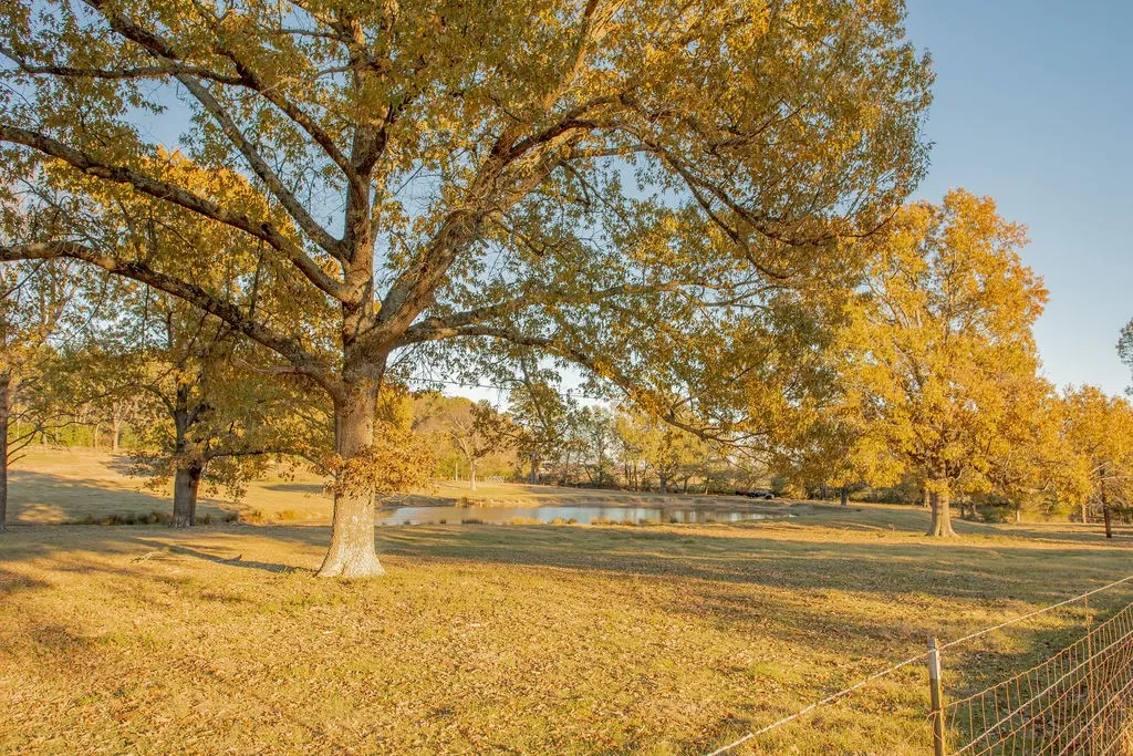 Farm For Sale in Smith County , 12575 Fm 3271, Tyler, Texas 75704, 4 Bedroom, 3 Bathroom, 2 Garage spaces, 2,379 Sqft, built in 1978, Price $695,000, mls#21139363, Real Estate Agent in Tyler, Homes For Sale in Smith county, Homes For Sale in Tyler, Realtor in Tyler Texas, Real Estate Brokerage Independent Realty Texas, Luminita Cordes Realtor