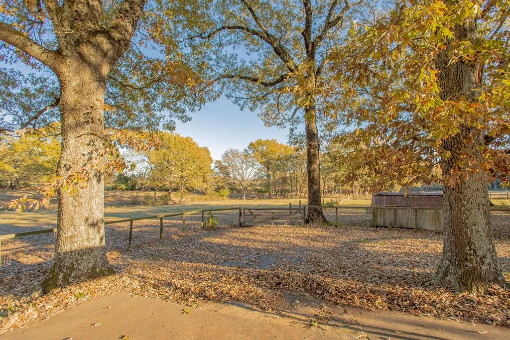 Farm For Sale in Smith County , 12575 Fm 3271, Tyler, Texas 75704, 4 Bedroom, 3 Bathroom, 2 Garage spaces, 2,379 Sqft, built in 1978, Price $695,000, mls#21139363, Real Estate Agent in Tyler, Homes For Sale in Smith county, Homes For Sale in Tyler, Realtor in Tyler Texas, Real Estate Brokerage Independent Realty Texas, Luminita Cordes Realtor