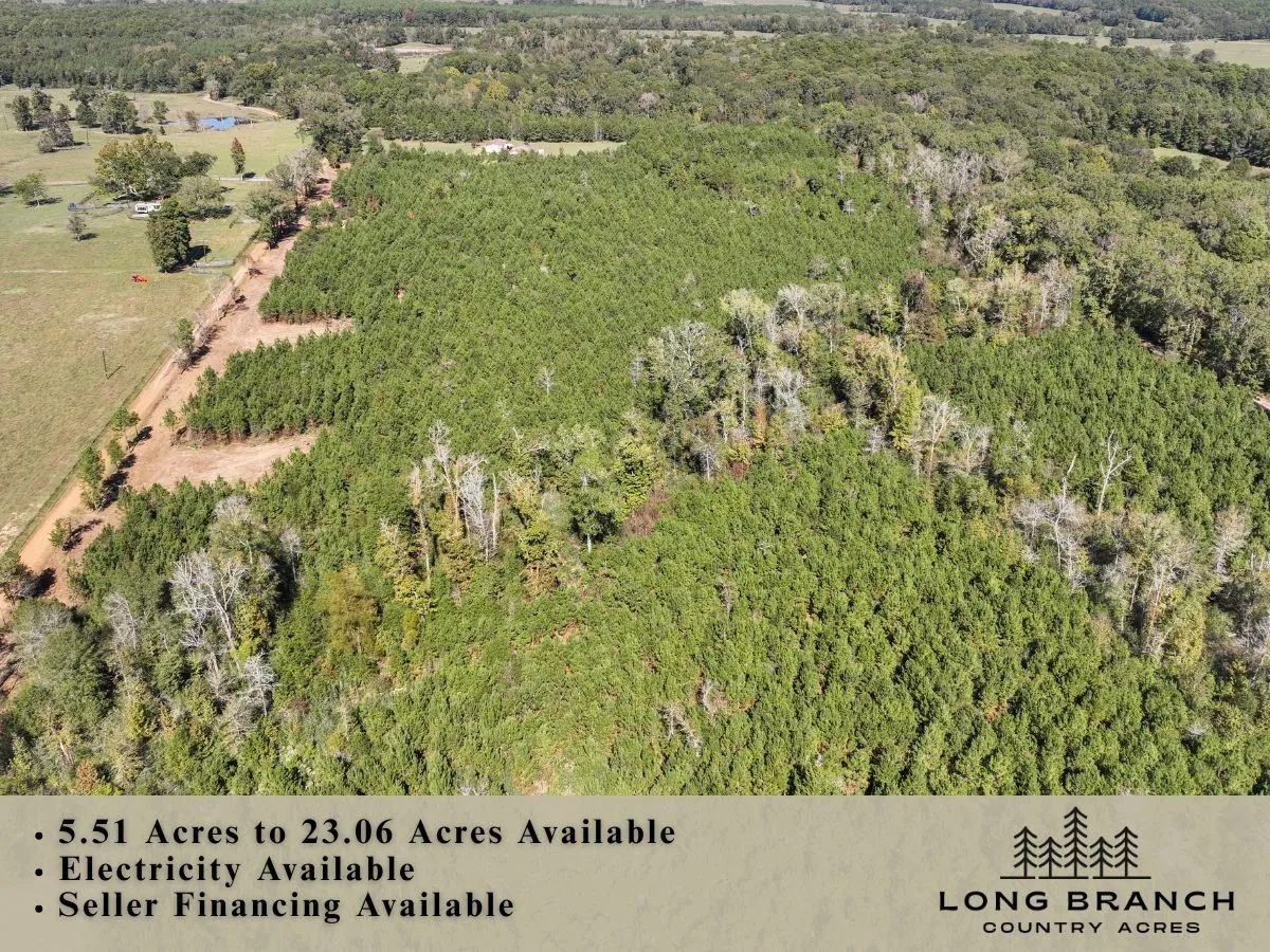 Unimproved Land For Sale in Panola County , 6 & 7 County Road 3121, Long Branch, Texas 75669, 0, 0, Garage spaces, 0 Sqft, built in 0, Price $87,073, mls#21139439, Real Estate Agent in Long Branch, Homes For Sale in Panola county, Homes For Sale in Long Branch, Realtor in Long Branch Texas, Real Estate Brokerage Independent Realty Texas, Luminita Cordes Realtor