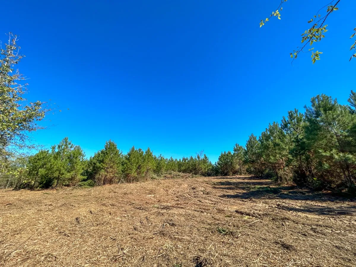 View of undeveloped land