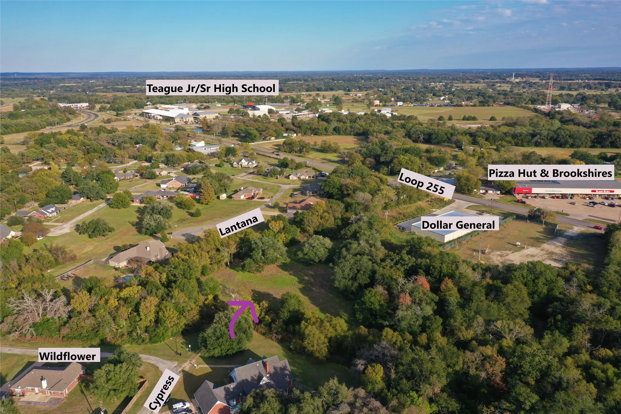 Unimproved Land For Sale in Freestone County , 103 Wildflower Lane, Teague, Texas 75860, 0, 0, Garage spaces, 0 Sqft, built in 0, Price $55,000, mls#21135577, Real Estate Agent in Teague, Homes For Sale in Freestone county, Homes For Sale in Teague, Realtor in Teague Texas, Real Estate Brokerage Independent Realty Texas, Luminita Cordes Realtor
