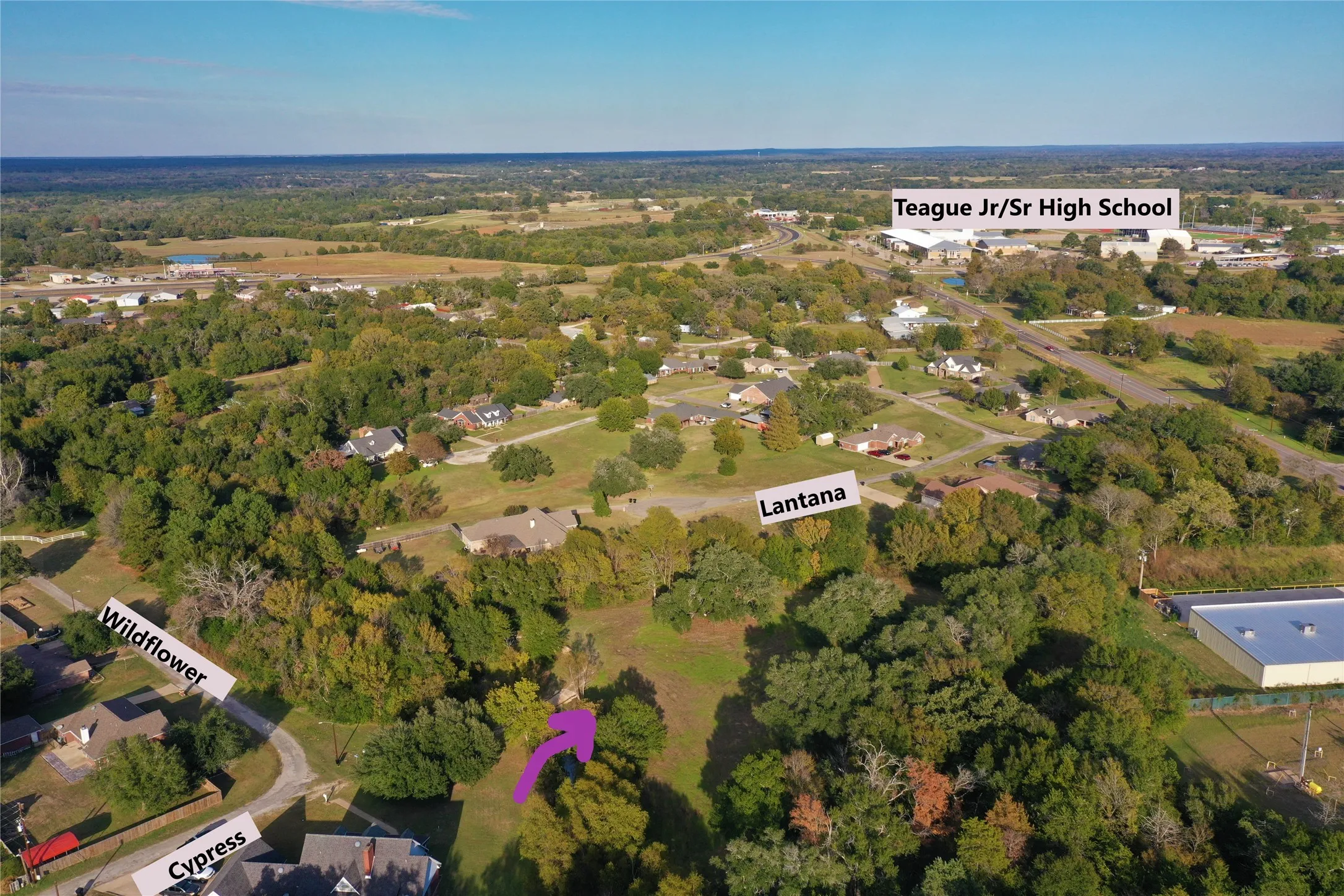 Unimproved Land For Sale in Freestone County , 103 Wildflower Lane, Teague, Texas 75860, 0, 0, Garage spaces, 0 Sqft, built in 0, Price $55,000, mls#21135577, Real Estate Agent in Teague, Homes For Sale in Freestone county, Homes For Sale in Teague, Realtor in Teague Texas, Real Estate Brokerage Independent Realty Texas, Luminita Cordes Realtor