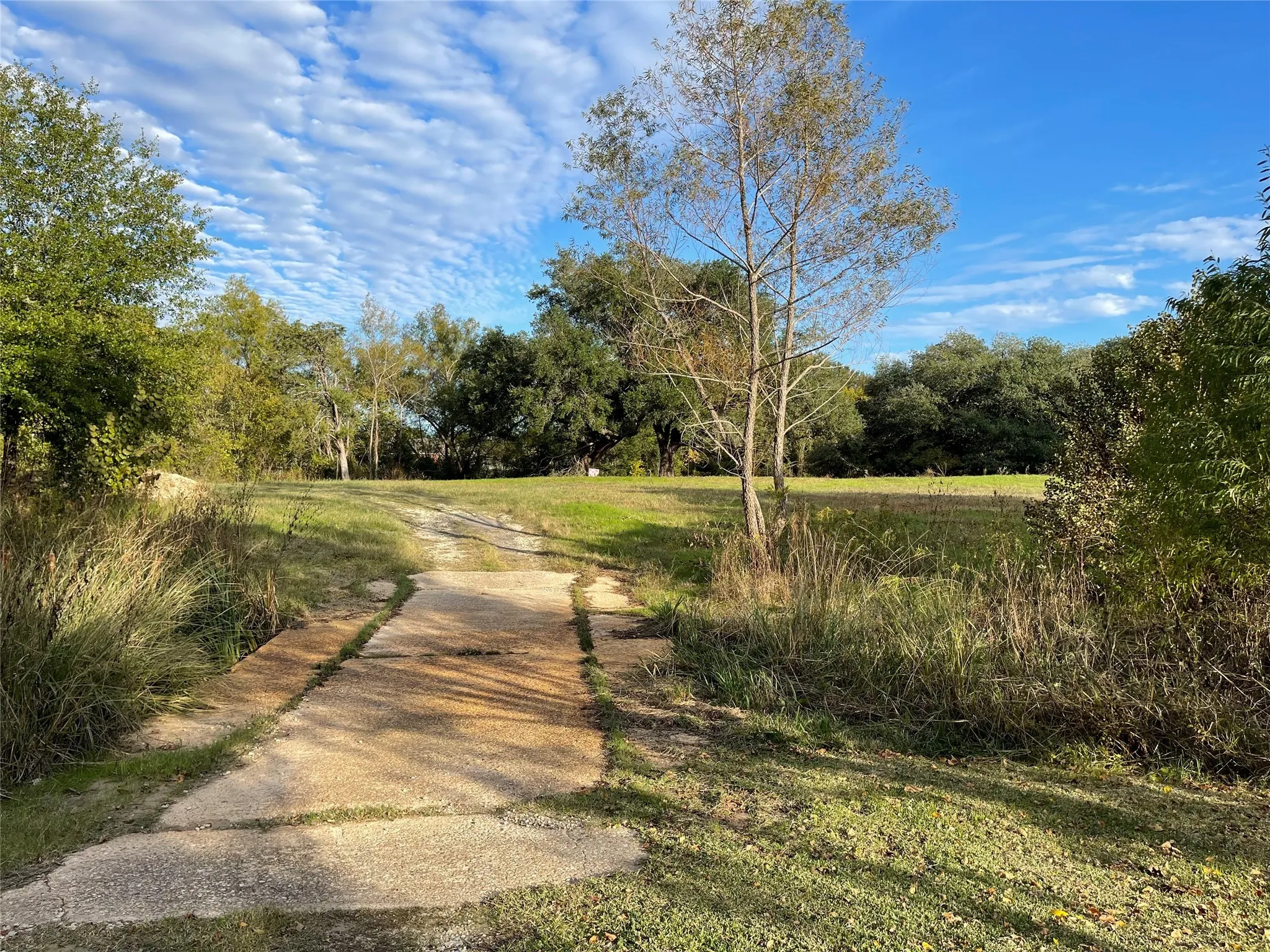 Unimproved Land For Sale in Freestone County , 103 Wildflower Lane, Teague, Texas 75860, 0, 0, Garage spaces, 0 Sqft, built in 0, Price $55,000, mls#21135577, Real Estate Agent in Teague, Homes For Sale in Freestone county, Homes For Sale in Teague, Realtor in Teague Texas, Real Estate Brokerage Independent Realty Texas, Luminita Cordes Realtor