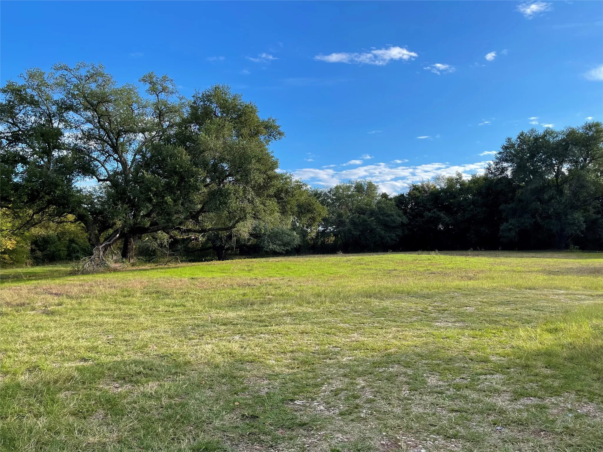 Unimproved Land For Sale in Freestone County , 103 Wildflower Lane, Teague, Texas 75860, 0, 0, Garage spaces, 0 Sqft, built in 0, Price $55,000, mls#21135577, Real Estate Agent in Teague, Homes For Sale in Freestone county, Homes For Sale in Teague, Realtor in Teague Texas, Real Estate Brokerage Independent Realty Texas, Luminita Cordes Realtor