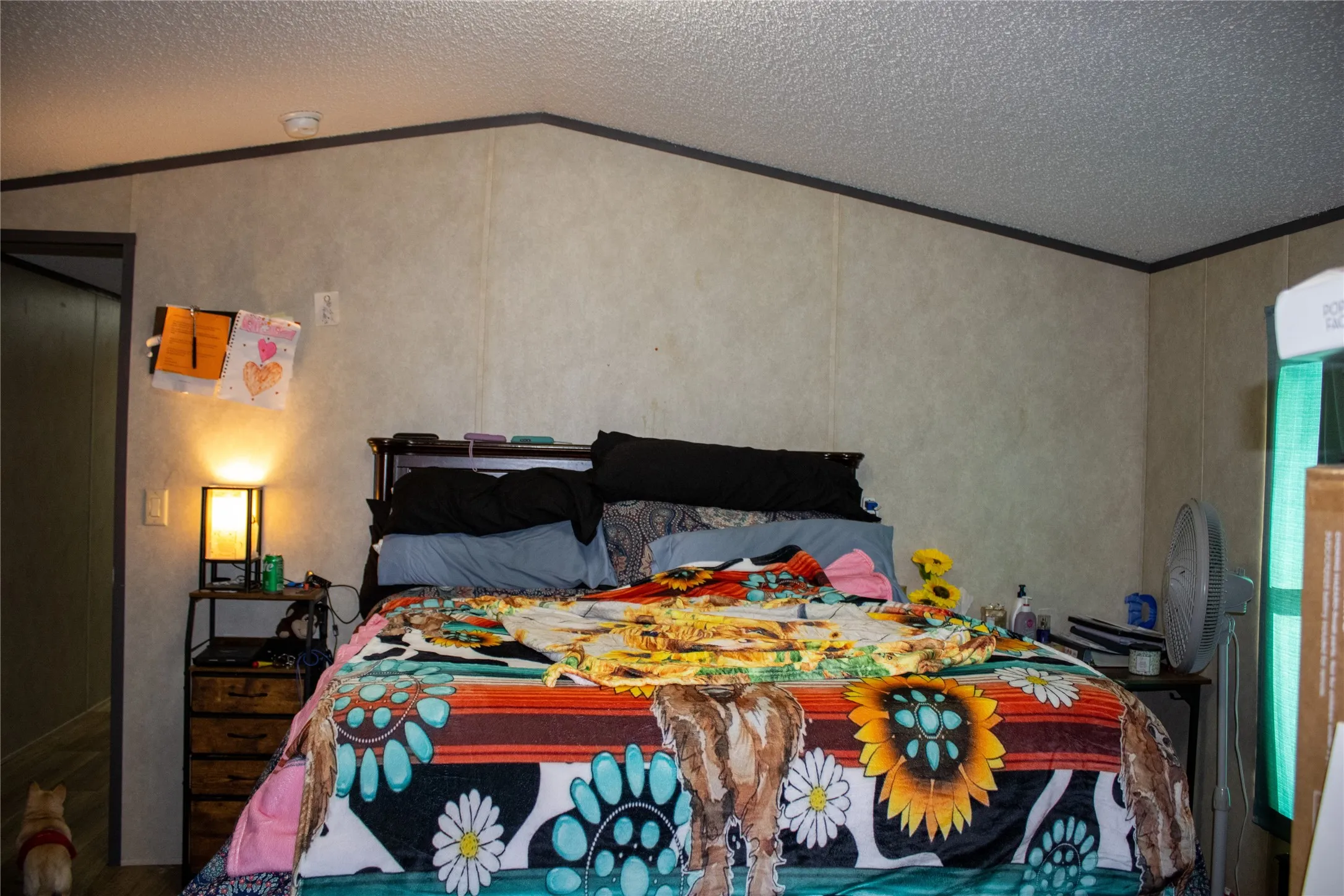 Mobile Home For Sale in Parker County , 145 Firefly Drive, Springtown, Texas 76082, 3 Bedrooms, 2 Bathrooms, Garage spaces, 1,216 Sqft, built in 2020, Preowned, Price $173,000, mls#21139406, Real Estate Agent in Springtown, Homes For Sale in Parker county, Homes For Sale in Springtown, Realtor in Springtown Texas, Real Estate Brokerage Independent Realty Texas, Luminita Cordes Realtor
