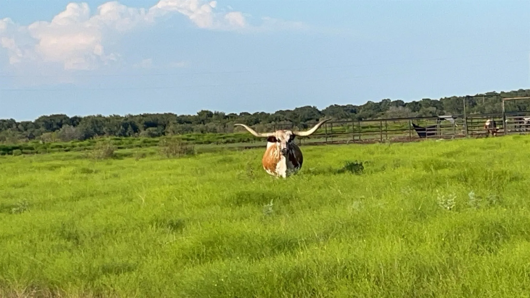 Farm For Sale in Erath County , 4565 County Road 140, Stephenville, Texas 76401, 4 Bedrooms, 2 Bathrooms, Garage spaces, 2,400 Sqft, built in 2022, Preowned, Price $1,450,000, mls#21139652, Real Estate Agent in Stephenville, Homes For Sale in Erath county, Homes For Sale in Stephenville, Realtor in Stephenville Texas, Real Estate Brokerage Independent Realty Texas, Luminita Cordes Realtor