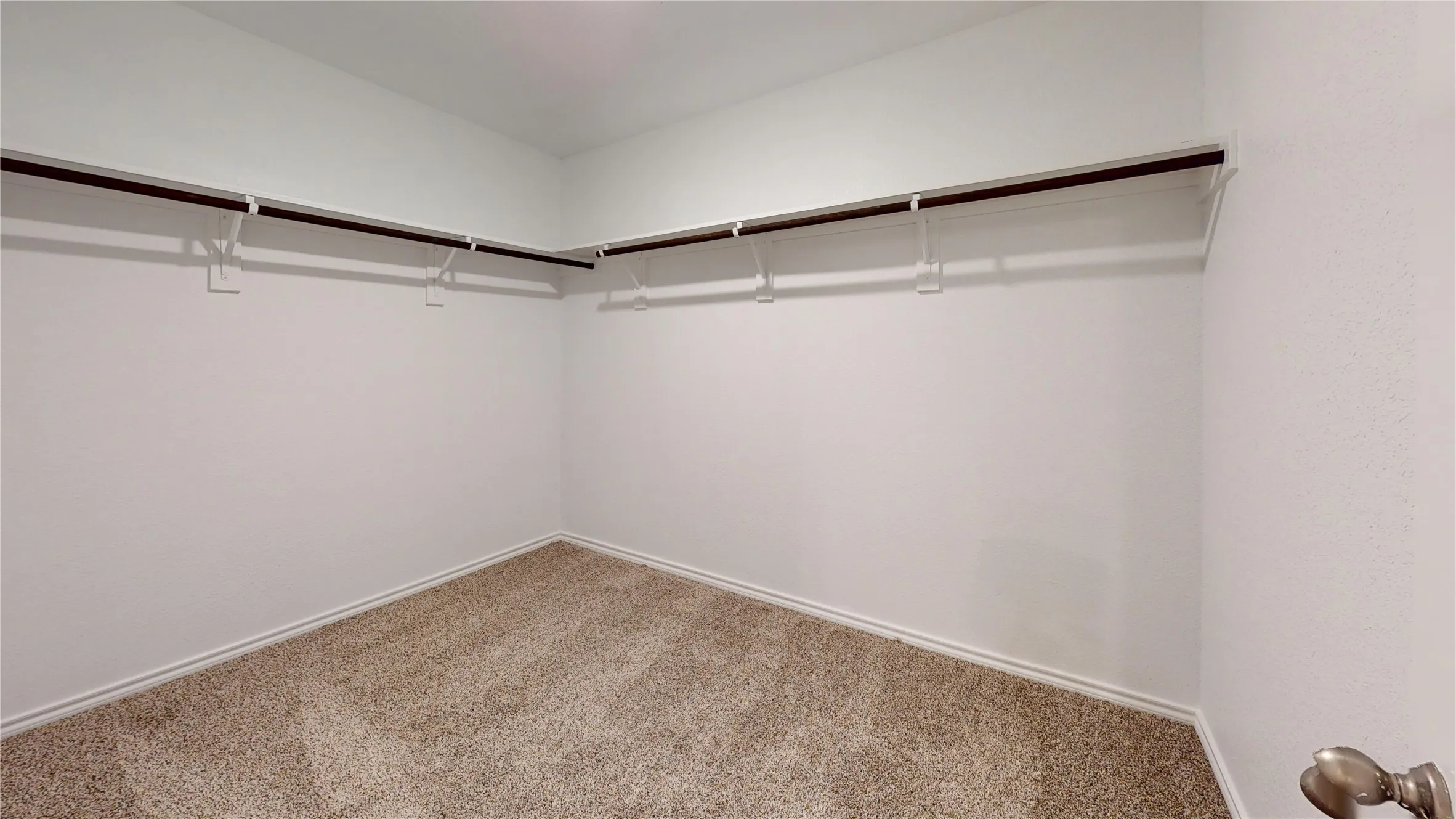 Spacious closet with carpet floors