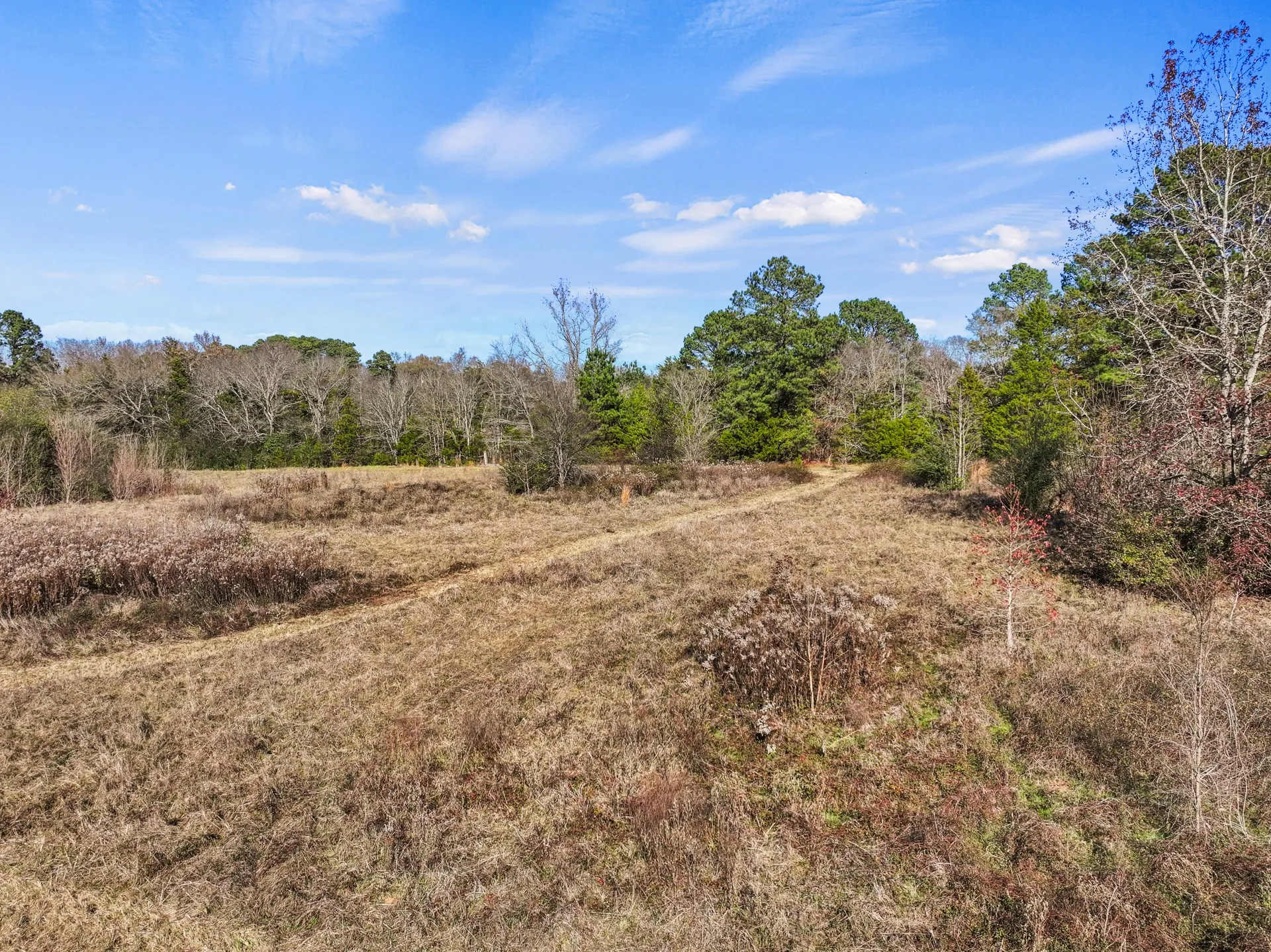 Unimproved Land For Sale in Cass County , TBD County Road 2865, Hughes Springs, Texas 75656, 0, 0, Garage spaces, 0 Sqft, built in 0, mls#21133840, Real Estate Agent in Hughes Springs, Homes For Sale in Cass county, Homes For Sale in Hughes Springs, Realtor in Hughes Springs Texas, Real Estate Brokerage Independent Realty Texas, Luminita Cordes Realtor