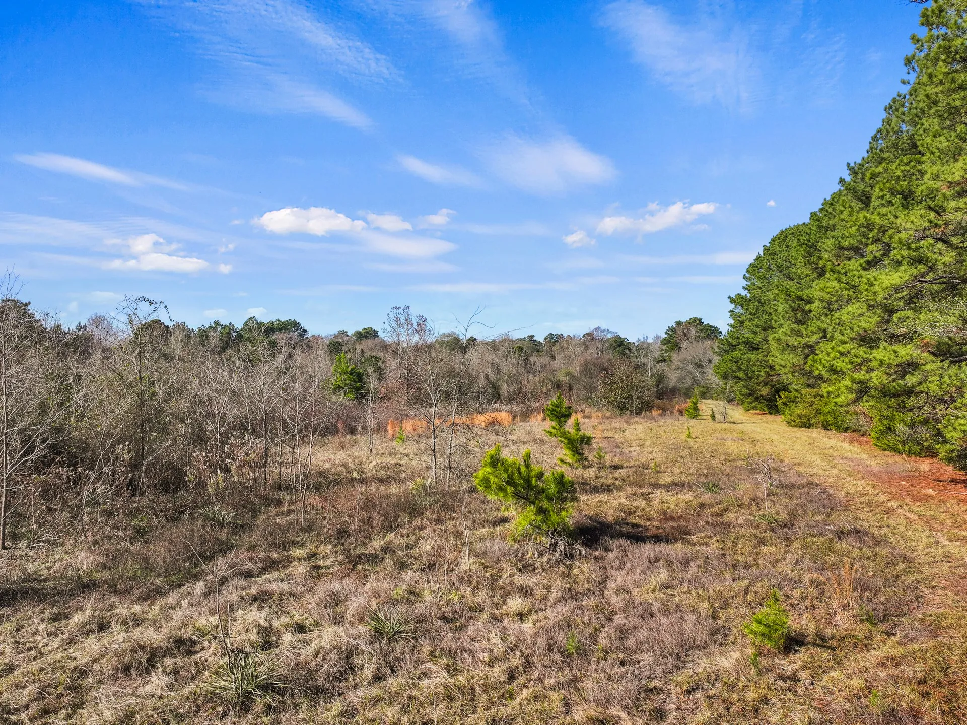 Unimproved Land For Sale in Cass County , TBD County Road 2865, Hughes Springs, Texas 75656, 0, 0, Garage spaces, 0 Sqft, built in 0, mls#21133840, Real Estate Agent in Hughes Springs, Homes For Sale in Cass county, Homes For Sale in Hughes Springs, Realtor in Hughes Springs Texas, Real Estate Brokerage Independent Realty Texas, Luminita Cordes Realtor