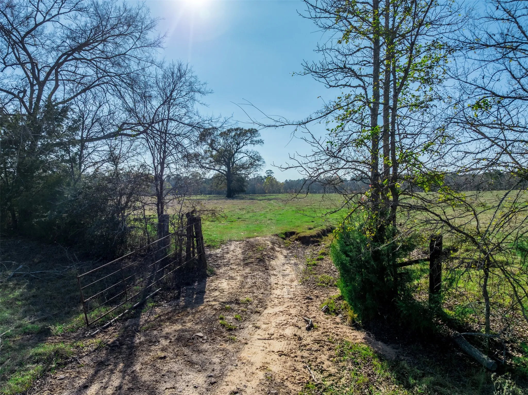 Improved Land For Sale in Anderson County , 0 An County Road 153, Palestine, Texas 75801, 0, 0, Garage spaces, 0 Sqft, built in 0, mls#21141075, Real Estate Agent in Palestine, Homes For Sale in Anderson county, Homes For Sale in Palestine, Realtor in Palestine Texas, Real Estate Brokerage Independent Realty Texas, Luminita Cordes Realtor