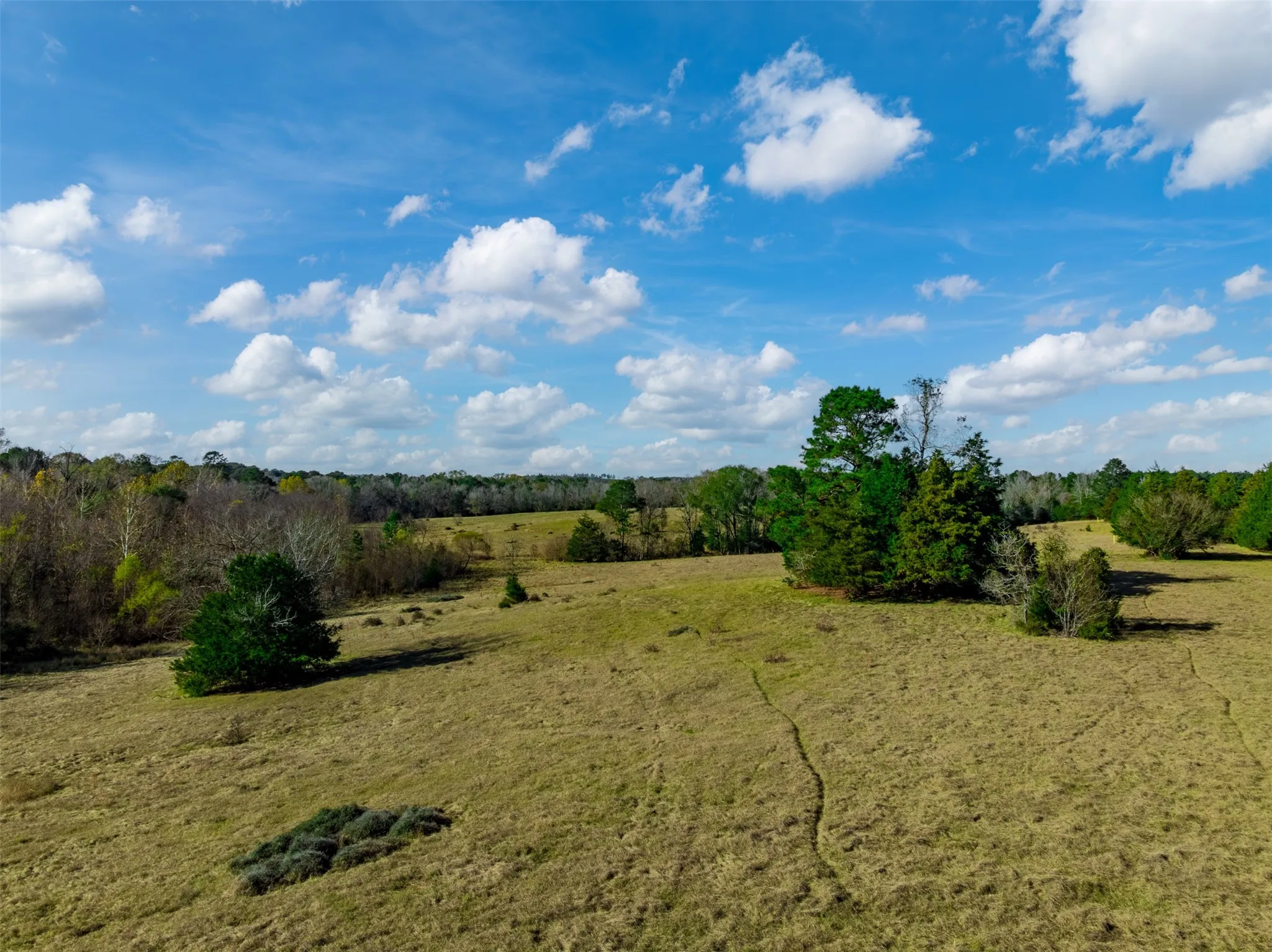 Improved Land For Sale in Anderson County , 0 An County Road 153, Palestine, Texas 75801, 0, 0, Garage spaces, 0 Sqft, built in 0, mls#21141075, Real Estate Agent in Palestine, Homes For Sale in Anderson county, Homes For Sale in Palestine, Realtor in Palestine Texas, Real Estate Brokerage Independent Realty Texas, Luminita Cordes Realtor