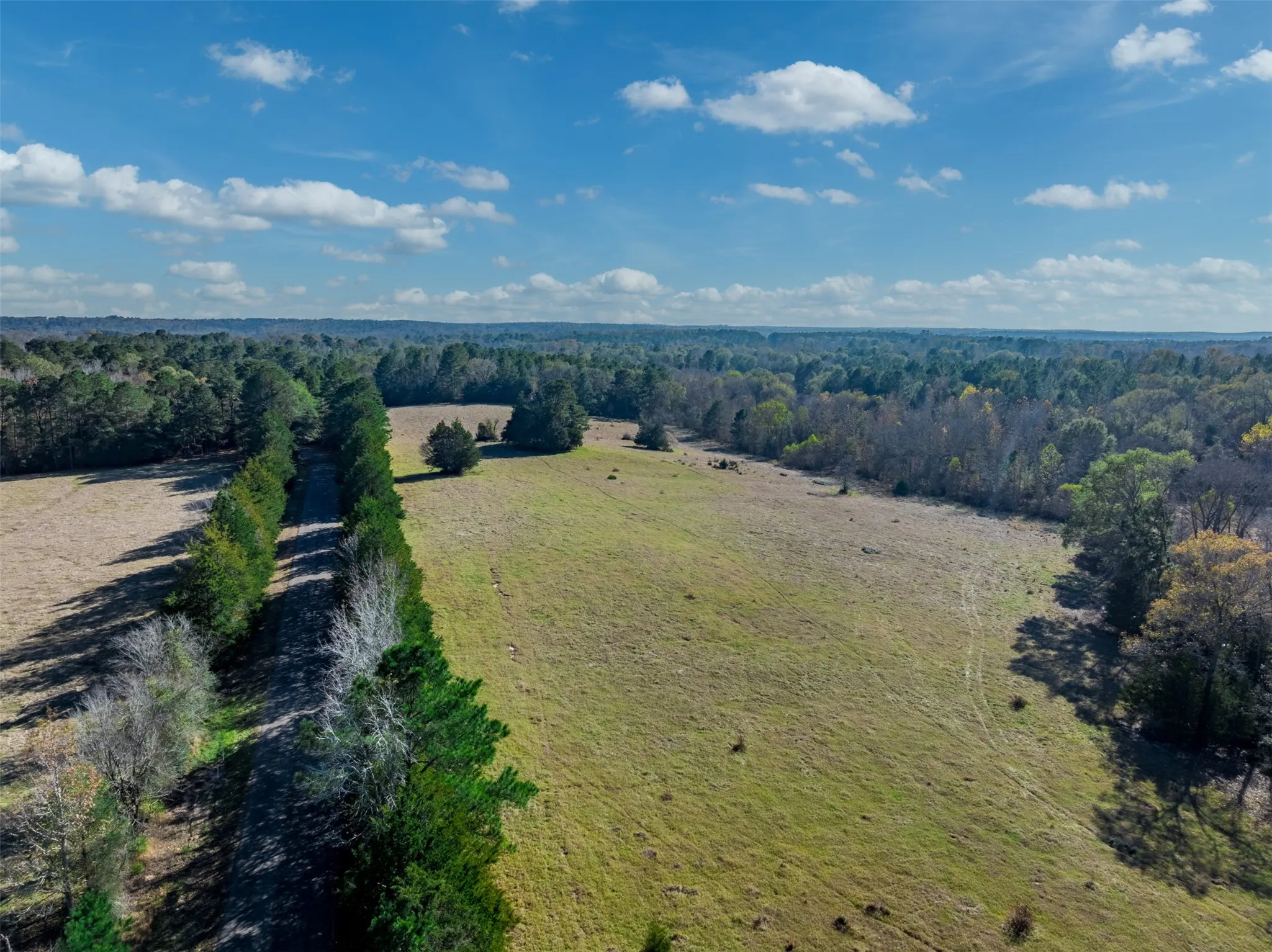 Improved Land For Sale in Anderson County , 0 An County Road 153, Palestine, Texas 75801, 0, 0, Garage spaces, 0 Sqft, built in 0, mls#21141075, Real Estate Agent in Palestine, Homes For Sale in Anderson county, Homes For Sale in Palestine, Realtor in Palestine Texas, Real Estate Brokerage Independent Realty Texas, Luminita Cordes Realtor