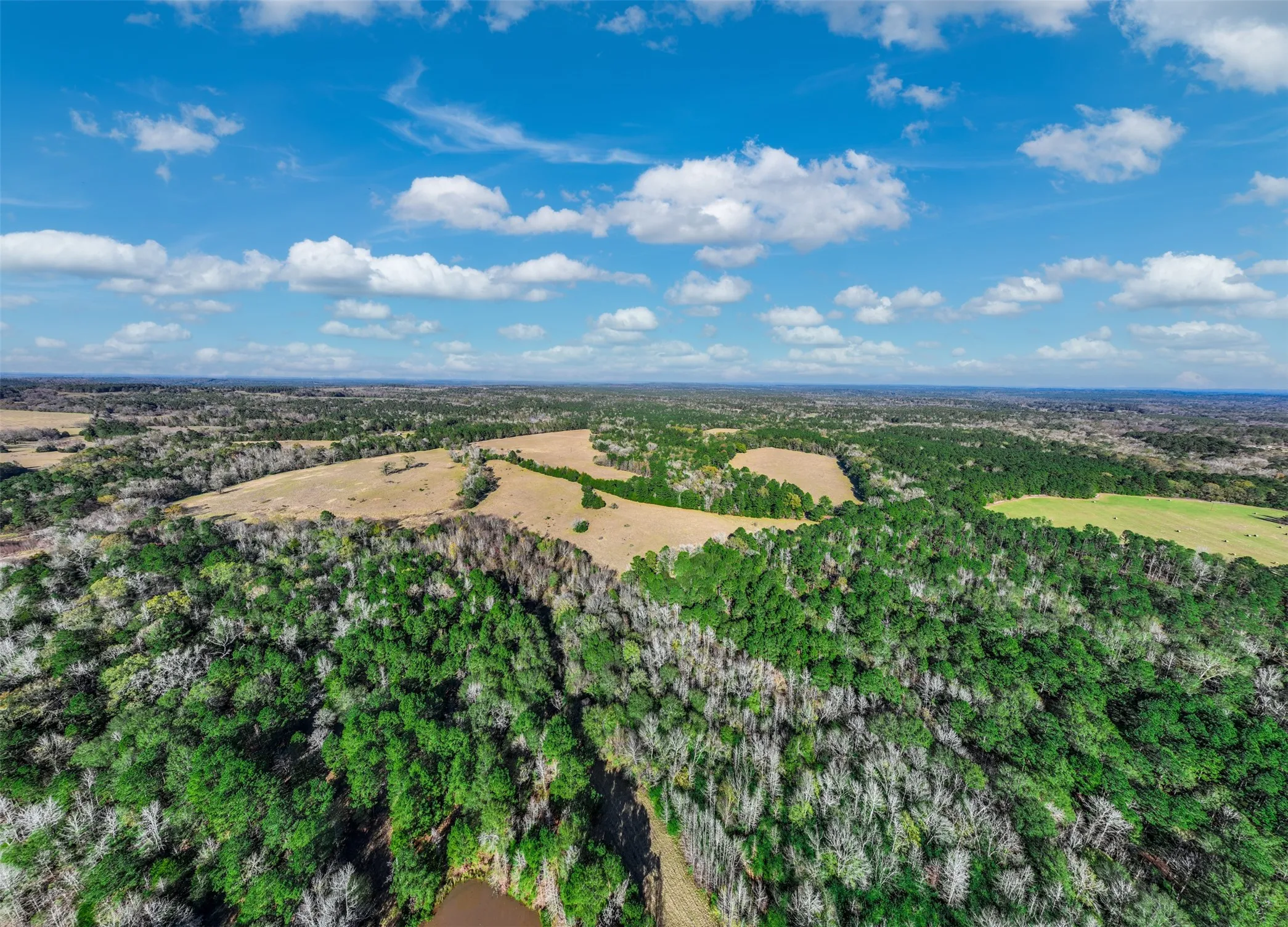 Improved Land For Sale in Anderson County , 0 An County Road 153, Palestine, Texas 75801, 0, 0, Garage spaces, 0 Sqft, built in 0, mls#21141075, Real Estate Agent in Palestine, Homes For Sale in Anderson county, Homes For Sale in Palestine, Realtor in Palestine Texas, Real Estate Brokerage Independent Realty Texas, Luminita Cordes Realtor