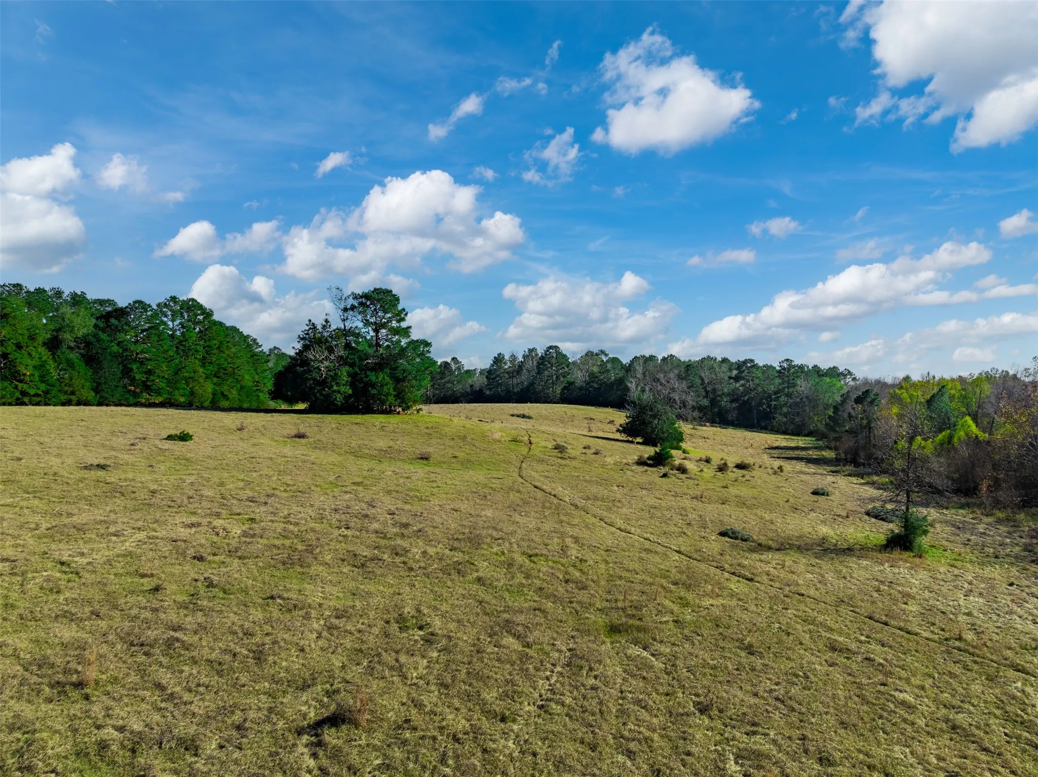 Improved Land For Sale in Anderson County , 0 An County Road 153, Palestine, Texas 75801, 0, 0, Garage spaces, 0 Sqft, built in 0, mls#21141075, Real Estate Agent in Palestine, Homes For Sale in Anderson county, Homes For Sale in Palestine, Realtor in Palestine Texas, Real Estate Brokerage Independent Realty Texas, Luminita Cordes Realtor