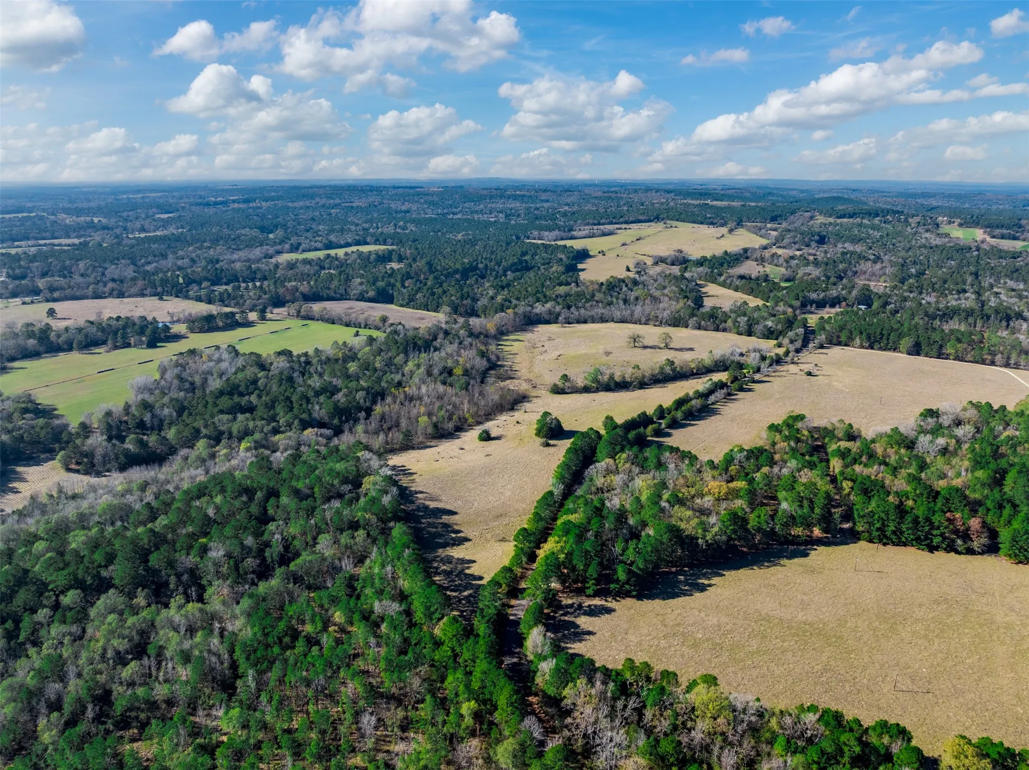 Improved Land For Sale in Anderson County , 0 An County Road 153, Palestine, Texas 75801, 0, 0, Garage spaces, 0 Sqft, built in 0, mls#21141075, Real Estate Agent in Palestine, Homes For Sale in Anderson county, Homes For Sale in Palestine, Realtor in Palestine Texas, Real Estate Brokerage Independent Realty Texas, Luminita Cordes Realtor