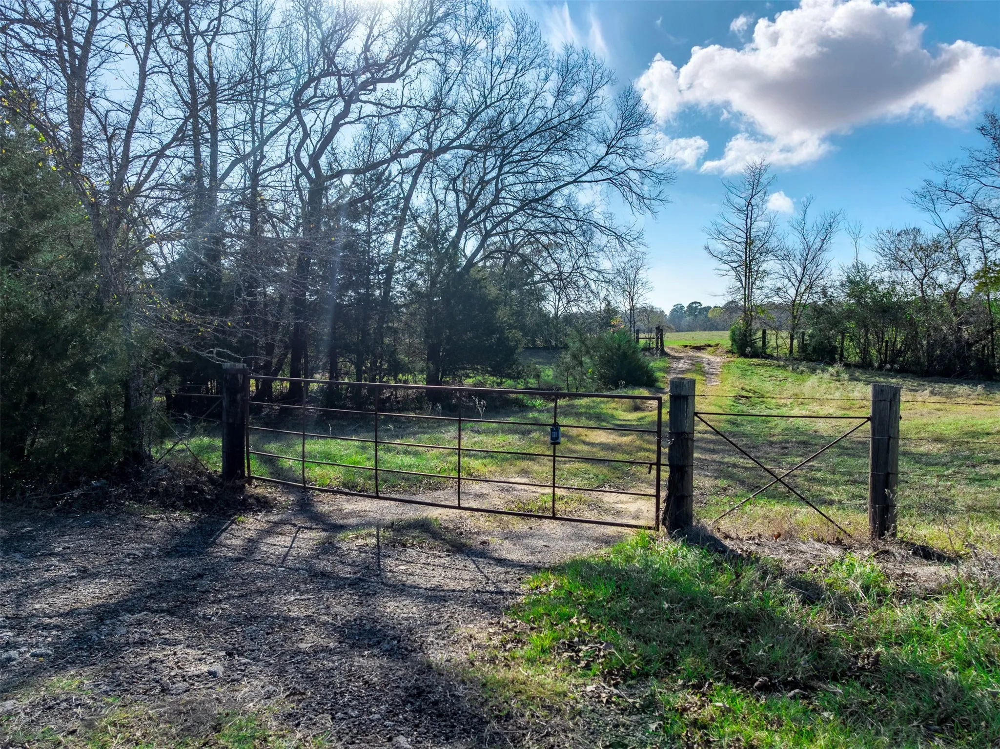 Improved Land For Sale in Anderson County , 0 An County Road 153, Palestine, Texas 75801, 0, 0, Garage spaces, 0 Sqft, built in 0, mls#21141075, Real Estate Agent in Palestine, Homes For Sale in Anderson county, Homes For Sale in Palestine, Realtor in Palestine Texas, Real Estate Brokerage Independent Realty Texas, Luminita Cordes Realtor