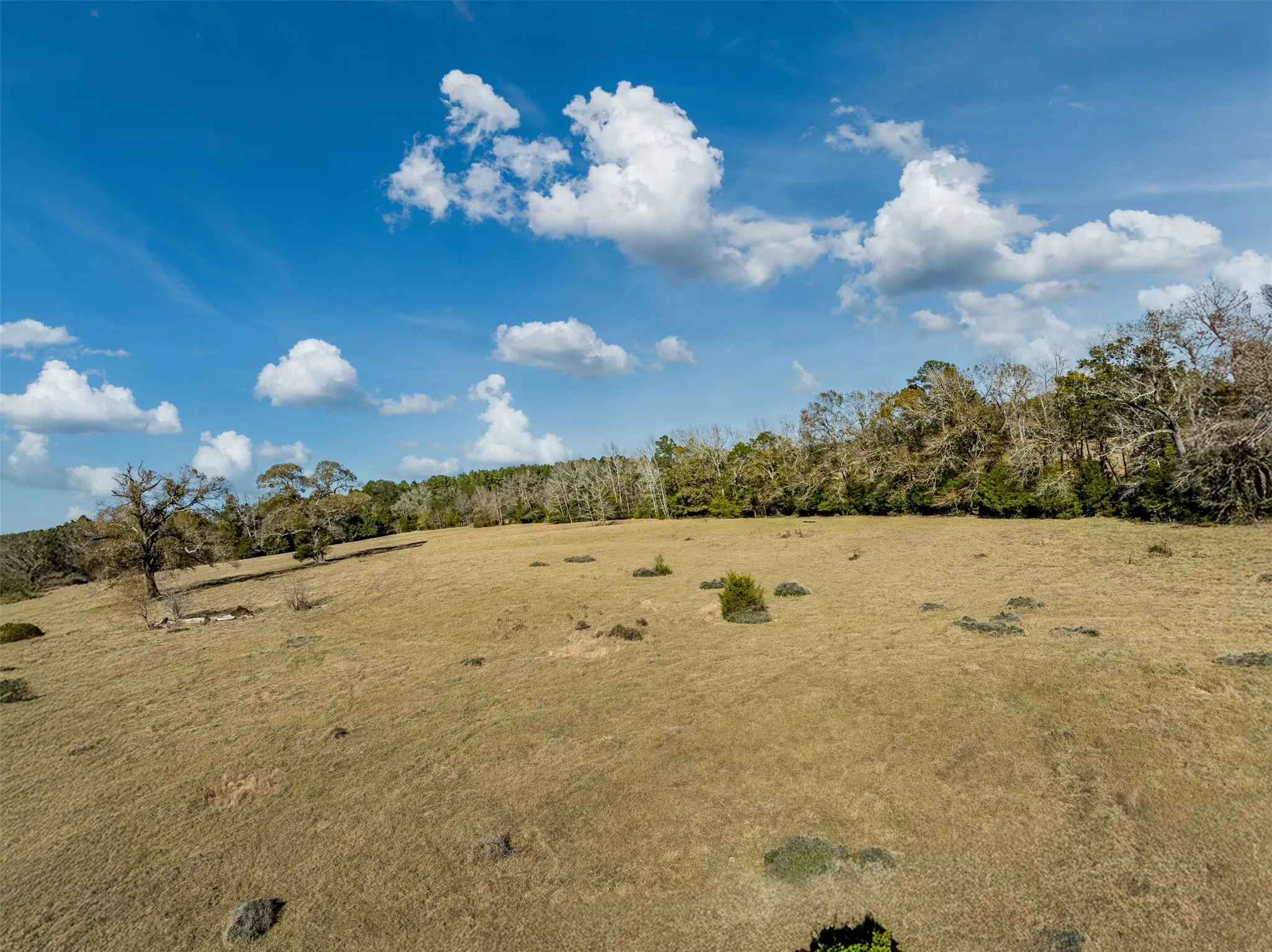 Improved Land For Sale in Anderson County , 0 An County Road 153, Palestine, Texas 75801, 0, 0, Garage spaces, 0 Sqft, built in 0, mls#21141075, Real Estate Agent in Palestine, Homes For Sale in Anderson county, Homes For Sale in Palestine, Realtor in Palestine Texas, Real Estate Brokerage Independent Realty Texas, Luminita Cordes Realtor