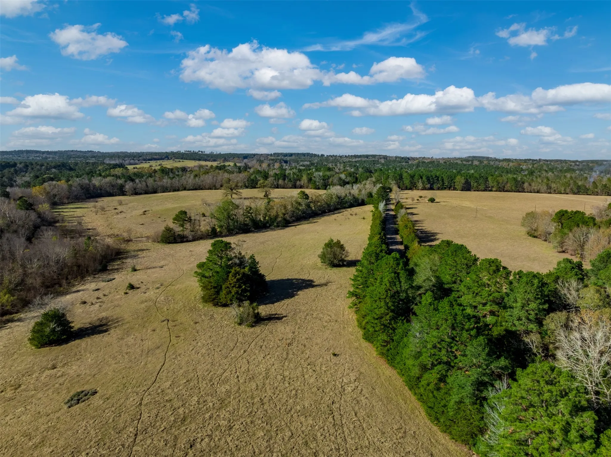 Improved Land For Sale in Anderson County , 0 An County Road 153, Palestine, Texas 75801, 0, 0, Garage spaces, 0 Sqft, built in 0, mls#21141075, Real Estate Agent in Palestine, Homes For Sale in Anderson county, Homes For Sale in Palestine, Realtor in Palestine Texas, Real Estate Brokerage Independent Realty Texas, Luminita Cordes Realtor