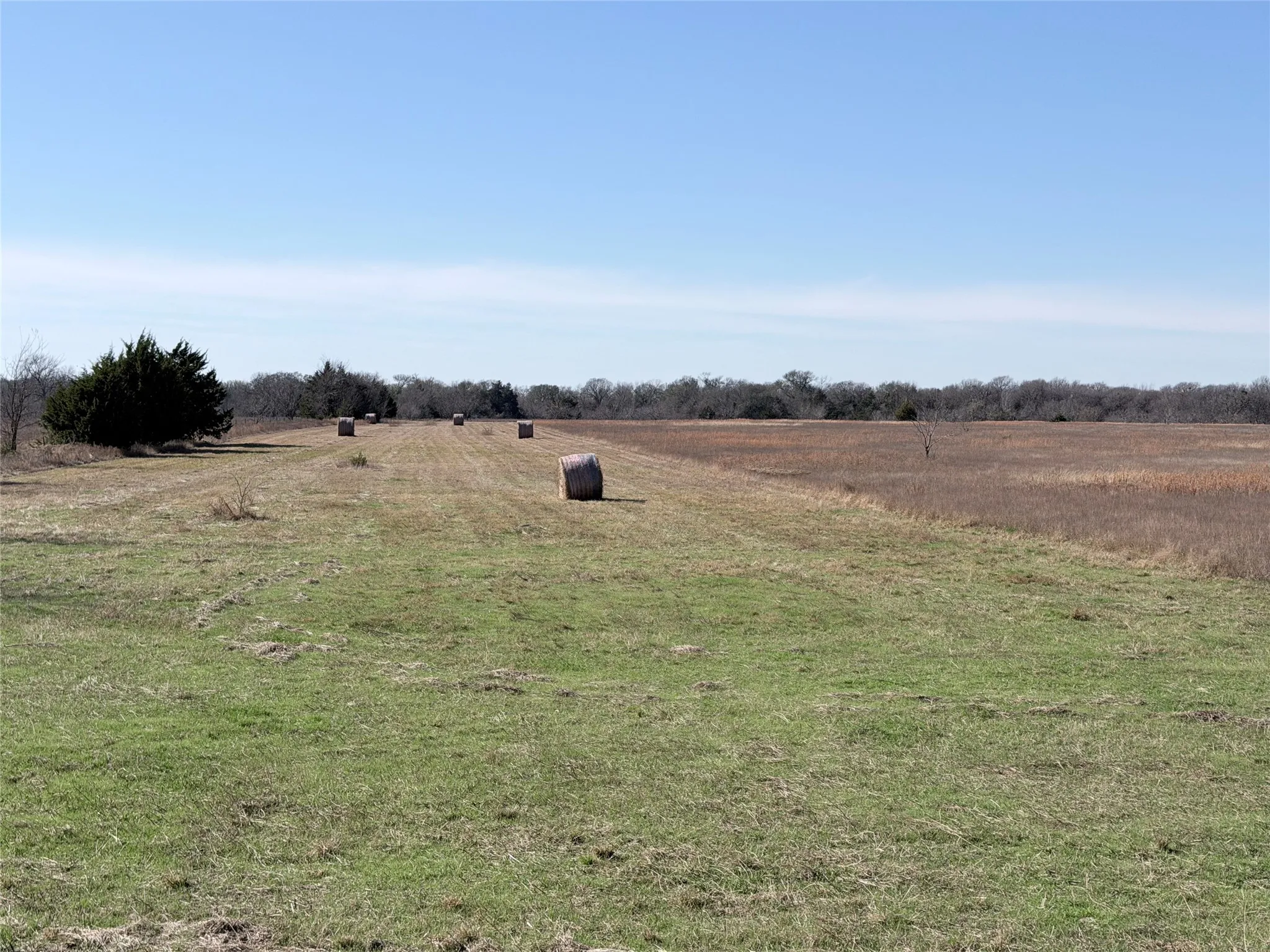 Unimproved Land For Sale in Navarro County , TBD NE County Road 2140, Kerens, Texas 75144, 0, 0, Garage spaces, 0 Sqft, built in 0, Price $400,000, mls#21141093, Real Estate Agent in Kerens, Homes For Sale in Navarro county, Homes For Sale in Kerens, Realtor in Kerens Texas, Real Estate Brokerage Independent Realty Texas, Luminita Cordes Realtor