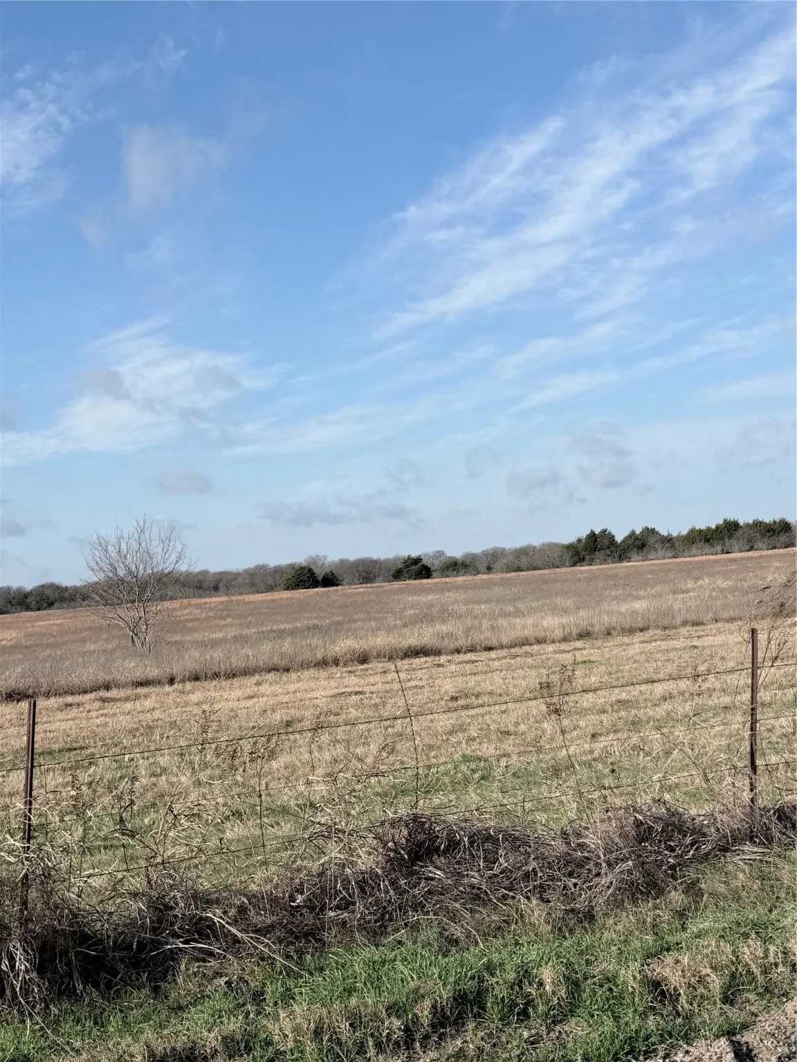 Unimproved Land For Sale in Navarro County , TBD NE County Road 2140, Kerens, Texas 75144, 0, 0, Garage spaces, 0 Sqft, built in 0, Price $400,000, mls#21141093, Real Estate Agent in Kerens, Homes For Sale in Navarro county, Homes For Sale in Kerens, Realtor in Kerens Texas, Real Estate Brokerage Independent Realty Texas, Luminita Cordes Realtor
