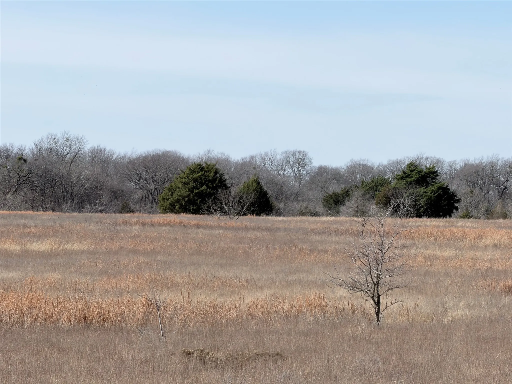Unimproved Land For Sale in Navarro County , TBD NE County Road 2140, Kerens, Texas 75144, 0, 0, Garage spaces, 0 Sqft, built in 0, Price $400,000, mls#21141093, Real Estate Agent in Kerens, Homes For Sale in Navarro county, Homes For Sale in Kerens, Realtor in Kerens Texas, Real Estate Brokerage Independent Realty Texas, Luminita Cordes Realtor