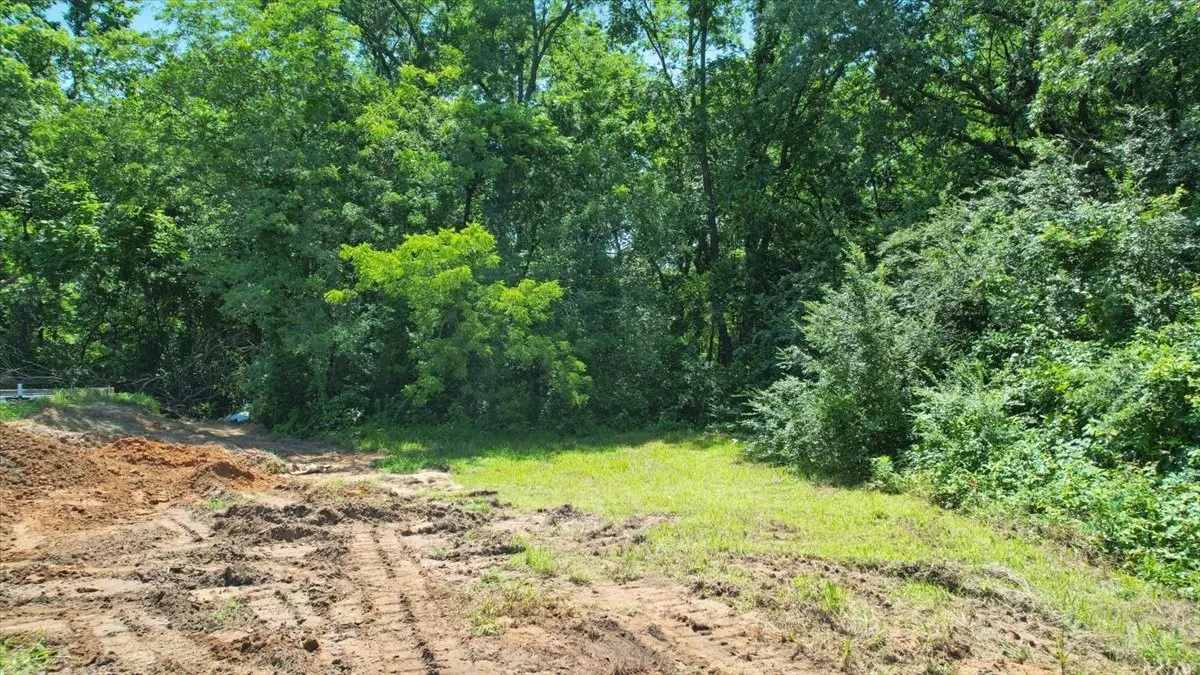 Unimproved Land For Sale in Grayson County , 2560 S Scullin Avenue, Denison, Texas 75020, 0, 0, Garage spaces, 0 Sqft, built in 0, Price $52,000, mls#21141267, Real Estate Agent in Denison, Homes For Sale in Grayson county, Homes For Sale in Denison, Realtor in Denison Texas, Real Estate Brokerage Independent Realty Texas, Luminita Cordes Realtor