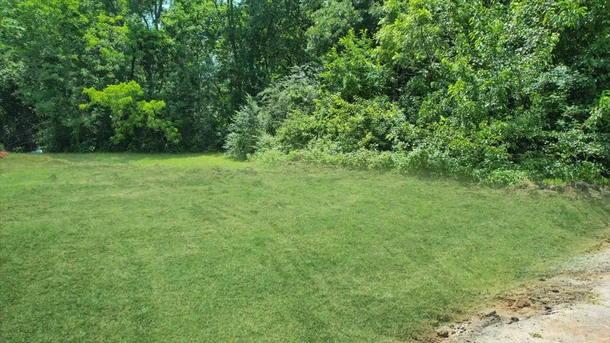 Unimproved Land For Sale in Grayson County , 2560 S Scullin Avenue, Denison, Texas 75020, 0, 0, Garage spaces, 0 Sqft, built in 0, Price $52,000, mls#21141267, Real Estate Agent in Denison, Homes For Sale in Grayson county, Homes For Sale in Denison, Realtor in Denison Texas, Real Estate Brokerage Independent Realty Texas, Luminita Cordes Realtor