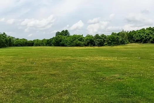 Unimproved Land For Sale in Parker County , TBD County 3848 Road, Poolville, Texas 76487, 0, 0, Garage spaces, 0 Sqft, built in 0, Price $292,500, mls#21141372, Real Estate Agent in Poolville, Homes For Sale in Parker county, Homes For Sale in Poolville, Realtor in Poolville Texas, Real Estate Brokerage Independent Realty Texas, Luminita Cordes Realtor