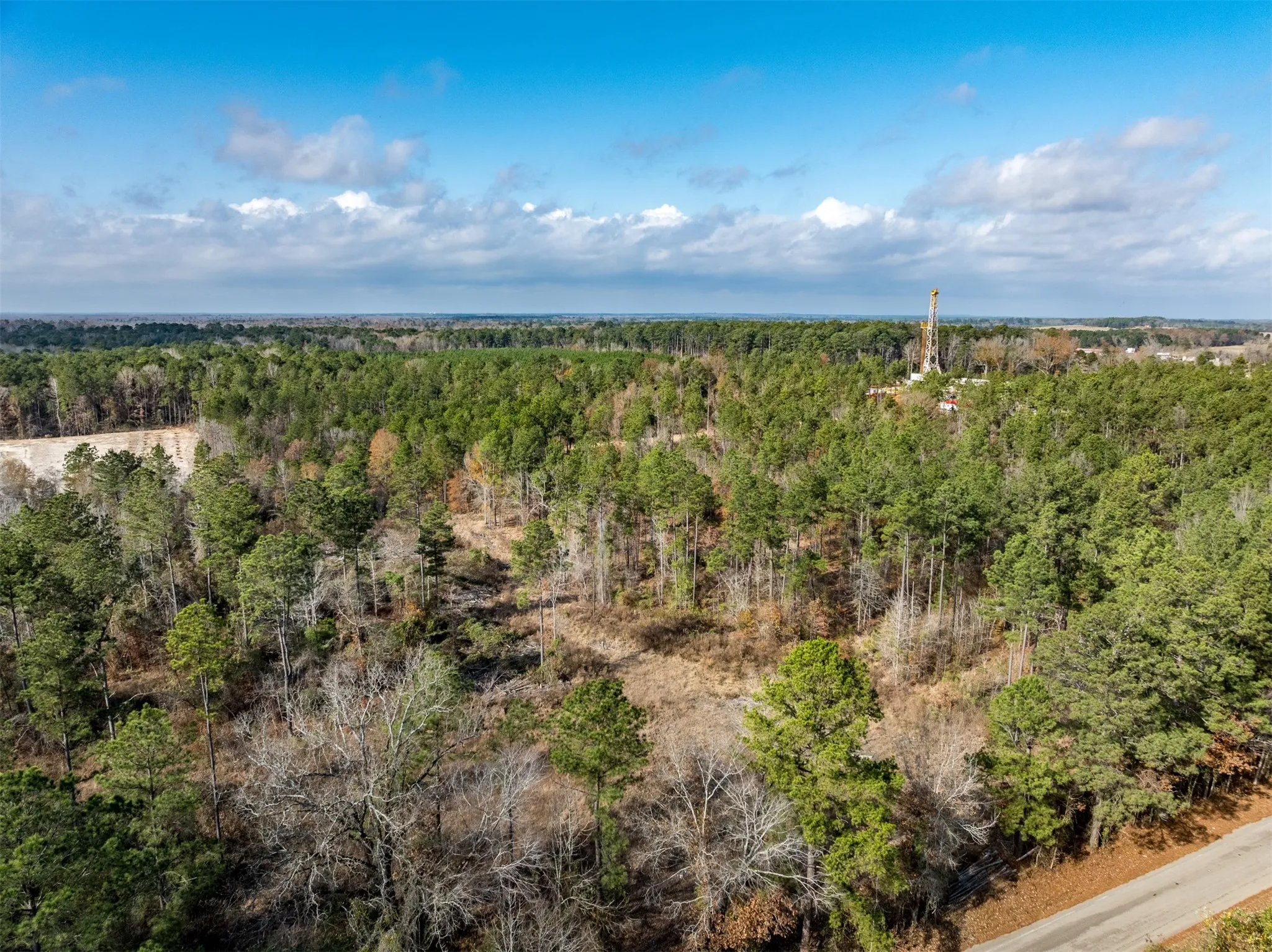 Unimproved Land For Sale in Harrison County , TBD Tom Woodley Rd, Marshall, Texas 75672, 0, 0, Garage spaces, 0 Sqft, built in 0, Price $389,785, mls#21141754, Real Estate Agent in Marshall, Homes For Sale in Harrison county, Homes For Sale in Marshall, Realtor in Marshall Texas, Real Estate Brokerage Independent Realty Texas, Luminita Cordes Realtor