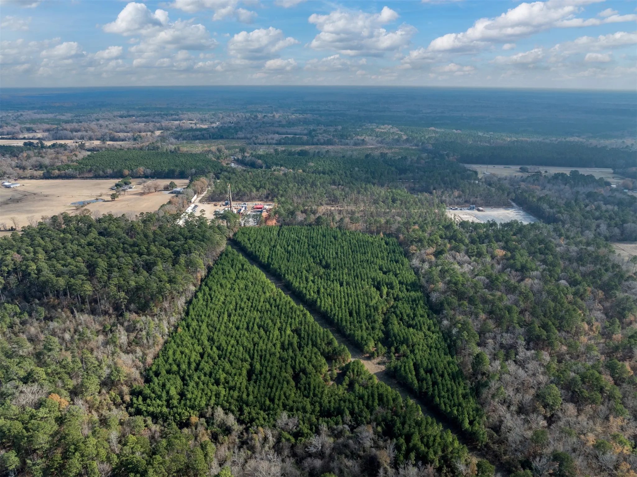 Unimproved Land For Sale in Harrison County , TBD Tom Woodley Rd, Marshall, Texas 75672, 0, 0, Garage spaces, 0 Sqft, built in 0, Price $389,785, mls#21141754, Real Estate Agent in Marshall, Homes For Sale in Harrison county, Homes For Sale in Marshall, Realtor in Marshall Texas, Real Estate Brokerage Independent Realty Texas, Luminita Cordes Realtor