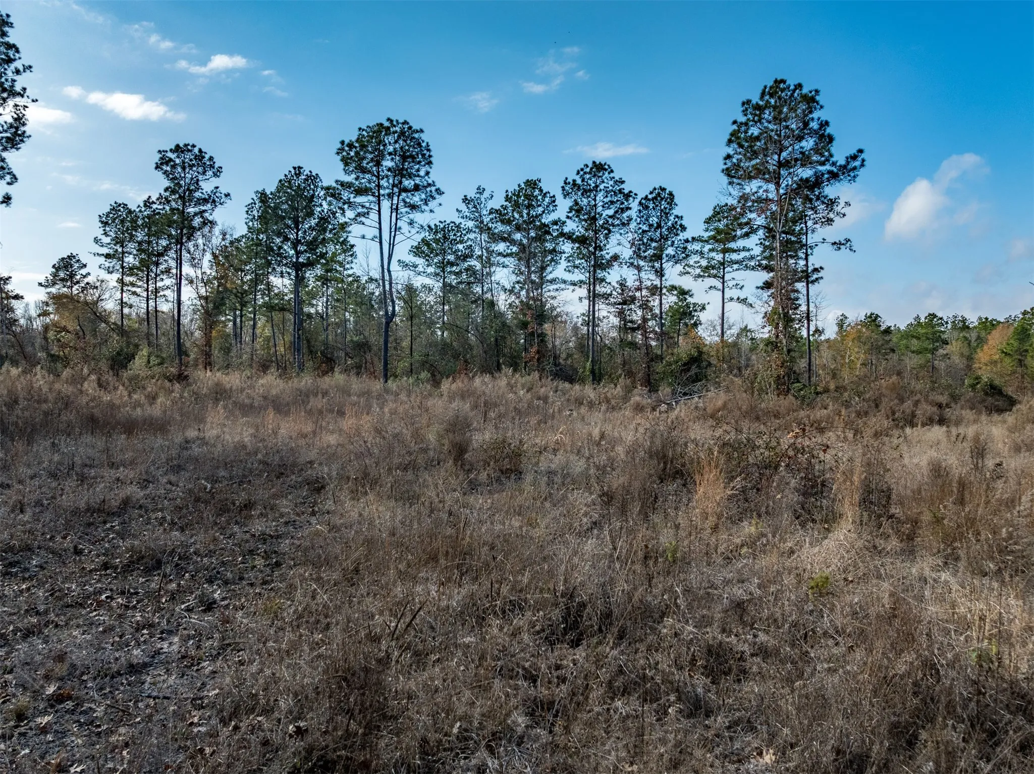 Unimproved Land For Sale in Harrison County , TBD Tom Woodley Rd, Marshall, Texas 75672, 0, 0, Garage spaces, 0 Sqft, built in 0, Price $389,785, mls#21141754, Real Estate Agent in Marshall, Homes For Sale in Harrison county, Homes For Sale in Marshall, Realtor in Marshall Texas, Real Estate Brokerage Independent Realty Texas, Luminita Cordes Realtor