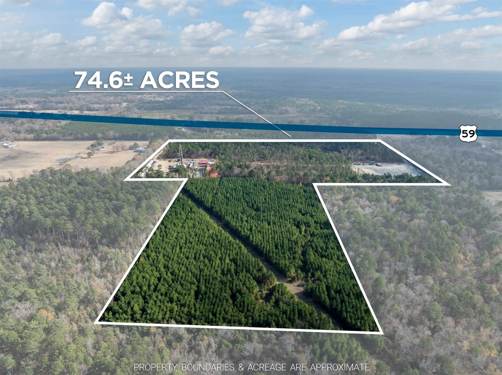 Unimproved Land For Sale in Harrison County , TBD Tom Woodley Rd, Marshall, Texas 75672, 0, 0, Garage spaces, 0 Sqft, built in 0, Price $389,785, mls#21141754, Real Estate Agent in Marshall, Homes For Sale in Harrison county, Homes For Sale in Marshall, Realtor in Marshall Texas, Real Estate Brokerage Independent Realty Texas, Luminita Cordes Realtor