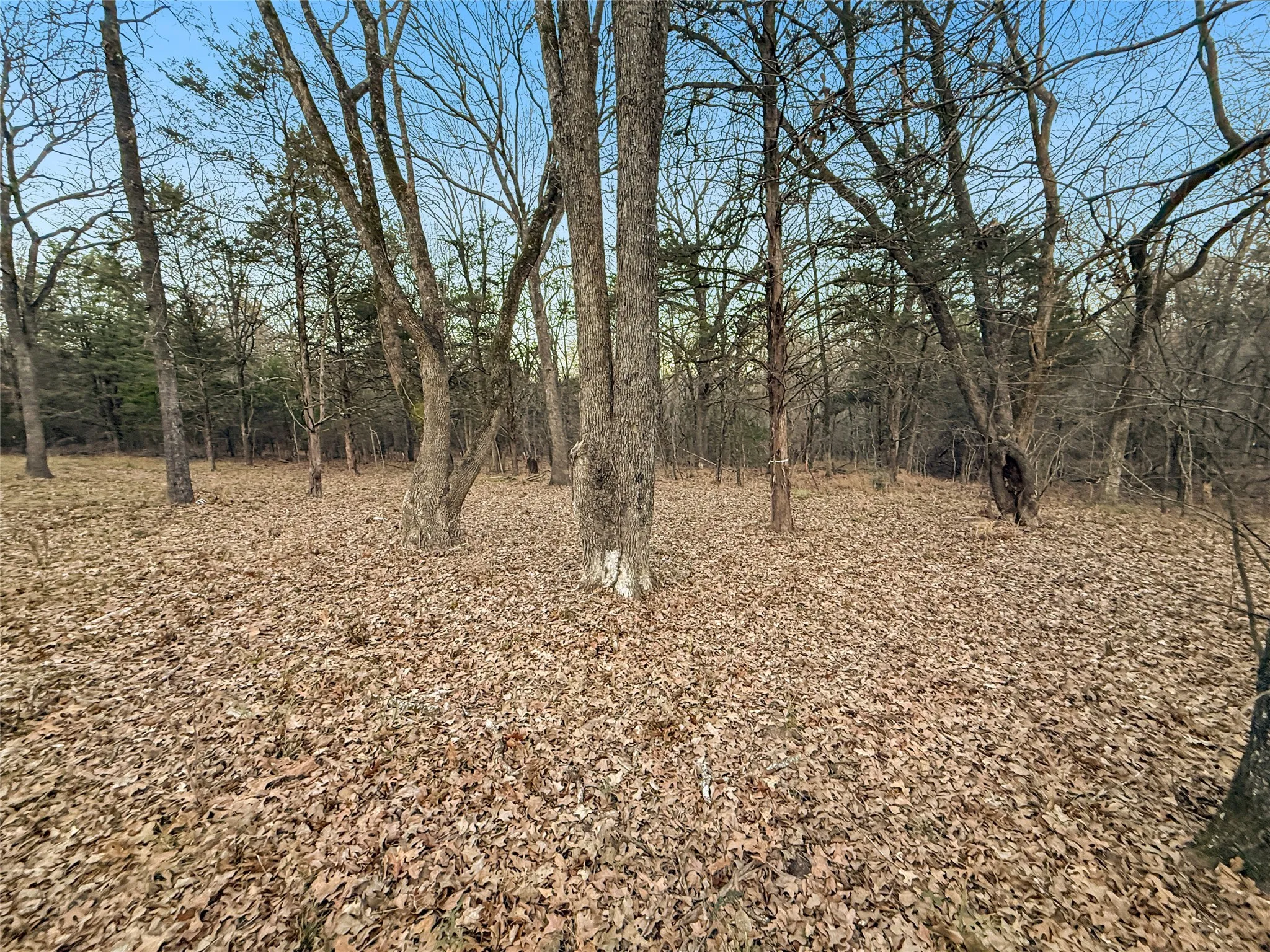 Unimproved Land For Sale in Rains County , 344 RS County Road 4254, Point, Texas 75472, 0, 0, Garage spaces, 0 Sqft, built in 0, Price $39,500, mls#21141993, Real Estate Agent in Point, Homes For Sale in Rains county, Homes For Sale in Point, Realtor in Point Texas, Real Estate Brokerage Independent Realty Texas, Luminita Cordes Realtor