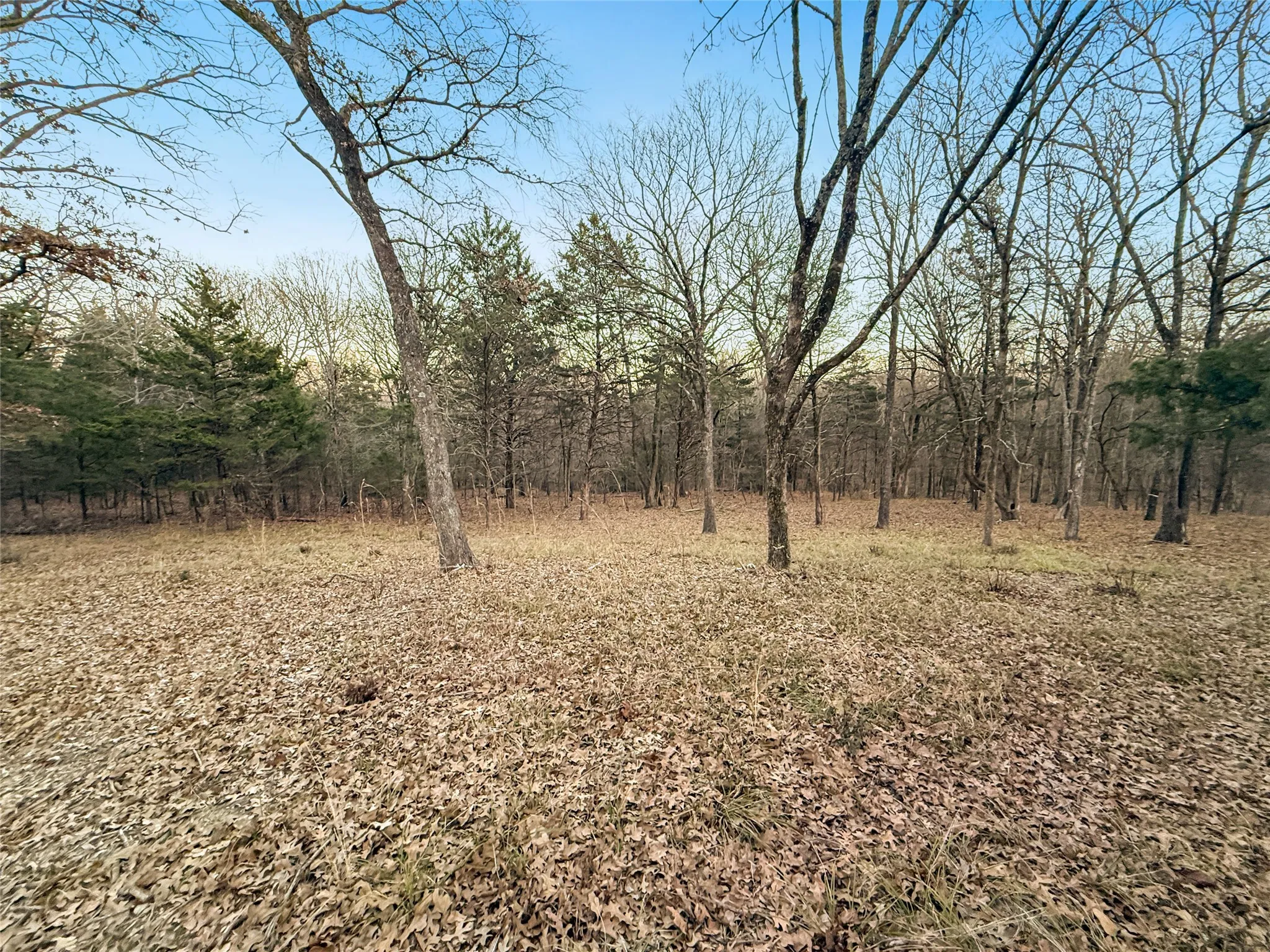 Unimproved Land For Sale in Rains County , 344 RS County Road 4254, Point, Texas 75472, 0, 0, Garage spaces, 0 Sqft, built in 0, Price $39,500, mls#21141993, Real Estate Agent in Point, Homes For Sale in Rains county, Homes For Sale in Point, Realtor in Point Texas, Real Estate Brokerage Independent Realty Texas, Luminita Cordes Realtor