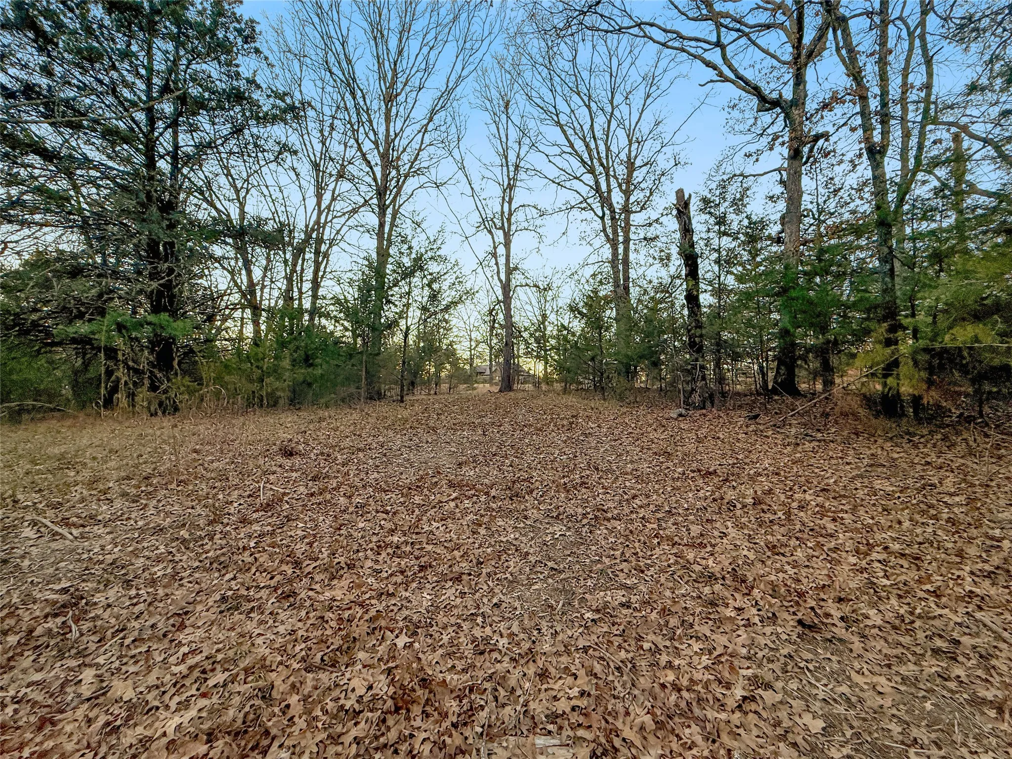 Unimproved Land For Sale in Rains County , 344 RS County Road 4254, Point, Texas 75472, 0, 0, Garage spaces, 0 Sqft, built in 0, Price $39,500, mls#21141993, Real Estate Agent in Point, Homes For Sale in Rains county, Homes For Sale in Point, Realtor in Point Texas, Real Estate Brokerage Independent Realty Texas, Luminita Cordes Realtor