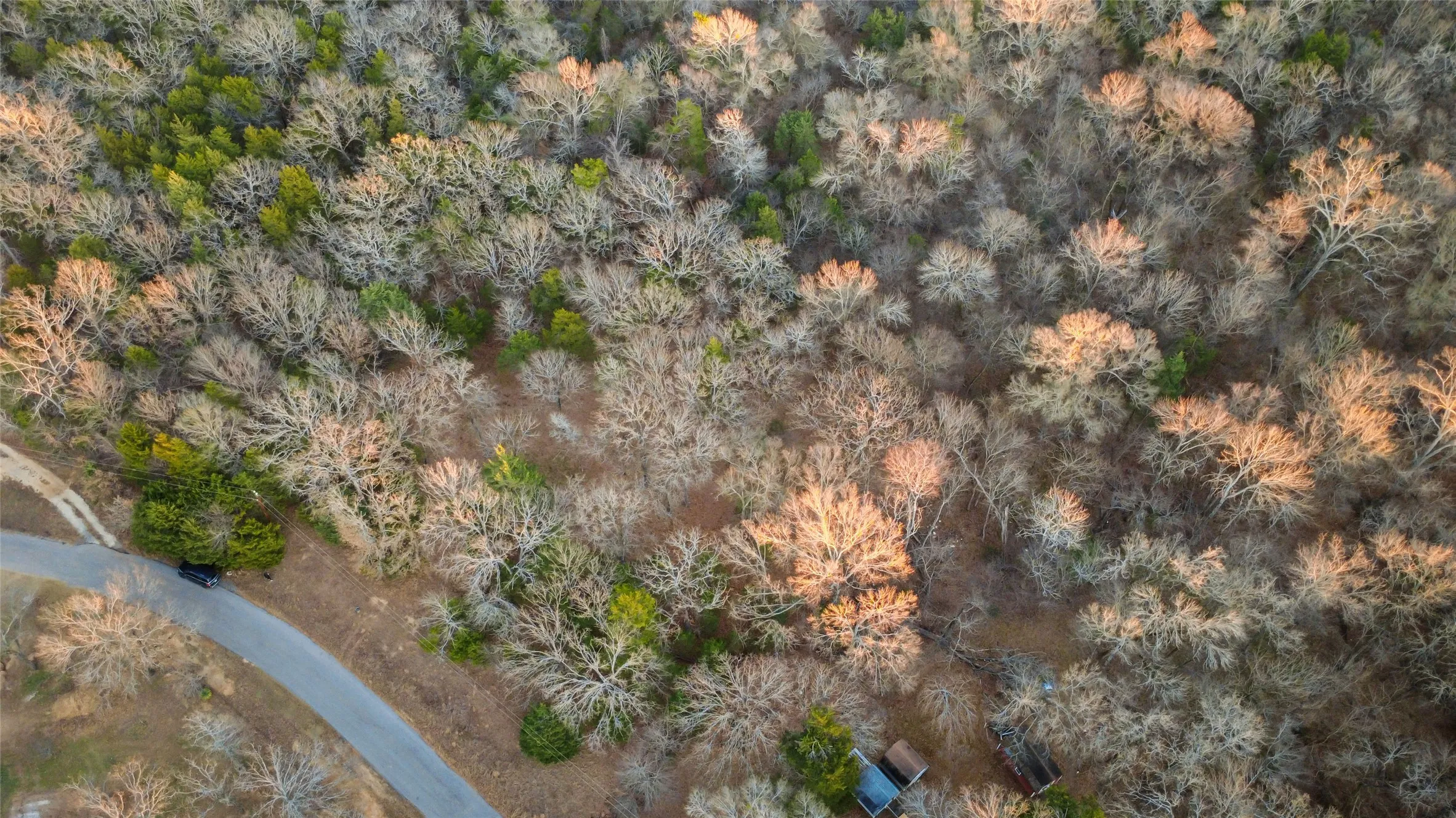 Unimproved Land For Sale in Rains County , 344 RS County Road 4254, Point, Texas 75472, 0, 0, Garage spaces, 0 Sqft, built in 0, Price $39,500, mls#21141993, Real Estate Agent in Point, Homes For Sale in Rains county, Homes For Sale in Point, Realtor in Point Texas, Real Estate Brokerage Independent Realty Texas, Luminita Cordes Realtor