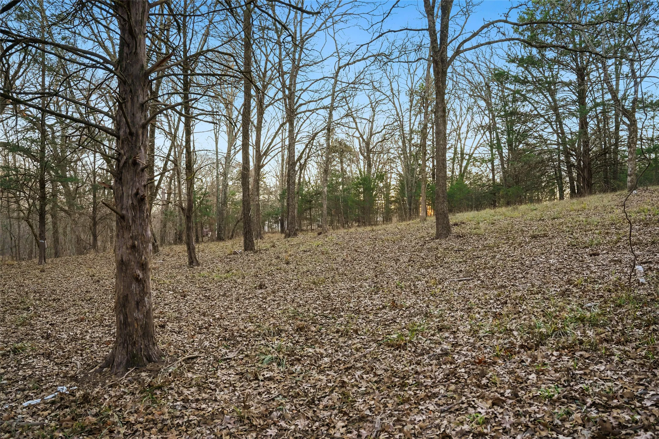 Unimproved Land For Sale in Rains County , 344 RS County Road 4254, Point, Texas 75472, 0, 0, Garage spaces, 0 Sqft, built in 0, Price $39,500, mls#21141993, Real Estate Agent in Point, Homes For Sale in Rains county, Homes For Sale in Point, Realtor in Point Texas, Real Estate Brokerage Independent Realty Texas, Luminita Cordes Realtor