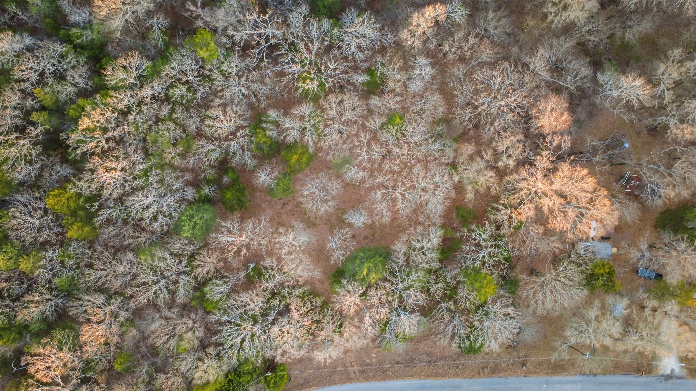 Unimproved Land For Sale in Rains County , 344 RS County Road 4254, Point, Texas 75472, 0, 0, Garage spaces, 0 Sqft, built in 0, Price $39,500, mls#21141993, Real Estate Agent in Point, Homes For Sale in Rains county, Homes For Sale in Point, Realtor in Point Texas, Real Estate Brokerage Independent Realty Texas, Luminita Cordes Realtor