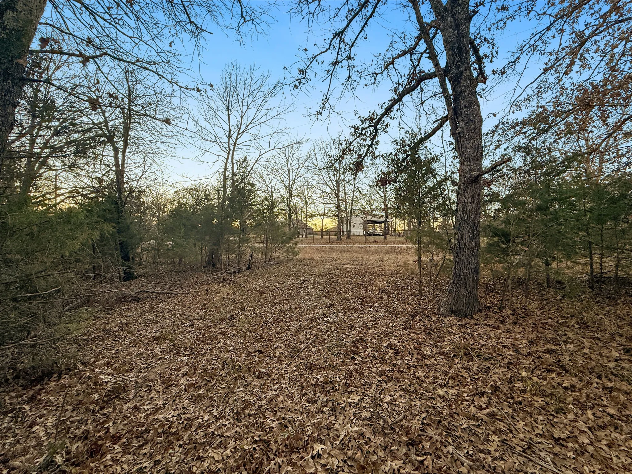 Unimproved Land For Sale in Rains County , 344 RS County Road 4254, Point, Texas 75472, 0, 0, Garage spaces, 0 Sqft, built in 0, Price $39,500, mls#21141993, Real Estate Agent in Point, Homes For Sale in Rains county, Homes For Sale in Point, Realtor in Point Texas, Real Estate Brokerage Independent Realty Texas, Luminita Cordes Realtor