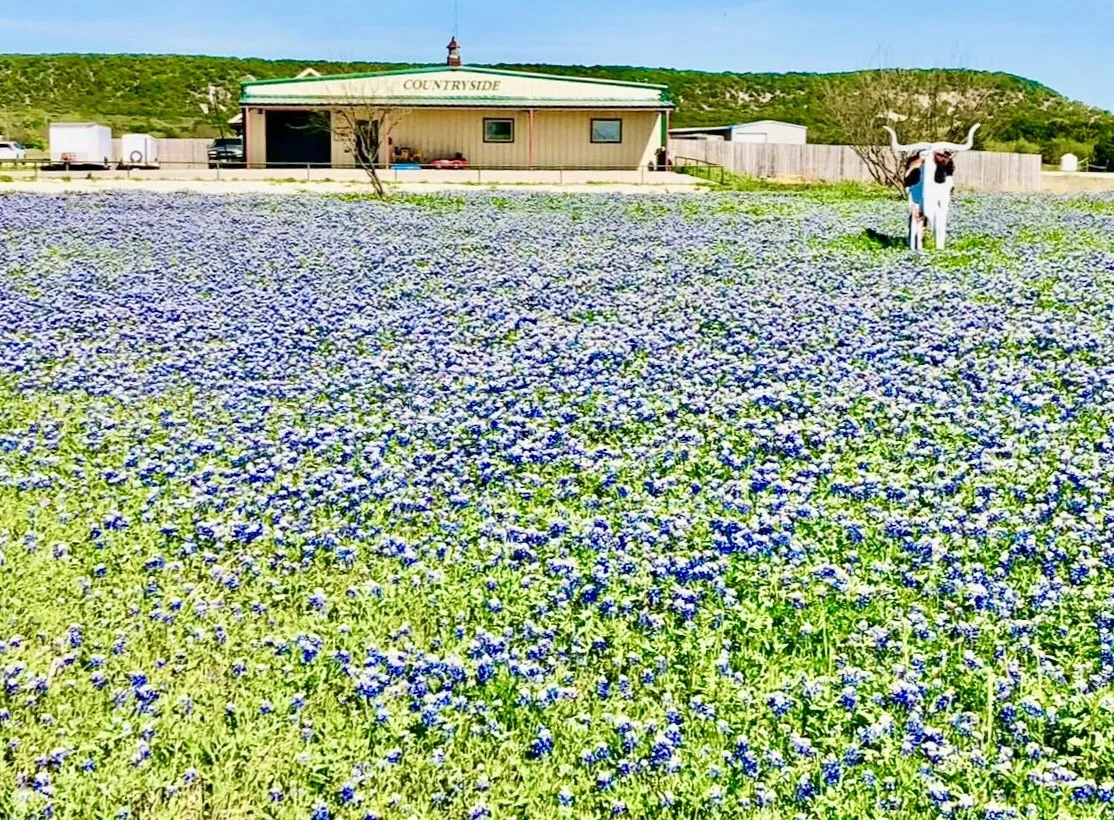 Office For Sale in Taylor County , 101 Cedar Gap Trail, Tuscola, Texas 79562, 0, 0, Garage spaces, 0 Sqft, built in 2016, Preowned, mls#21138882, Real Estate Agent in Tuscola, Homes For Sale in Taylor county, Homes For Sale in Tuscola, Realtor in Tuscola Texas, Real Estate Brokerage Independent Realty Texas, Luminita Cordes Realtor