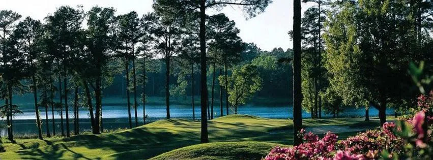 Unimproved Land For Sale in Smith County , 22049 Fm 1995, Lindale, Texas 75771, 0, 0, Garage spaces, 0 Sqft, built in 1992, Preowned, Price $9,900,000, mls#21142321, Real Estate Agent in Lindale, Homes For Sale in Smith county, Homes For Sale in Lindale, Realtor in Lindale Texas, Real Estate Brokerage Independent Realty Texas, Luminita Cordes Realtor