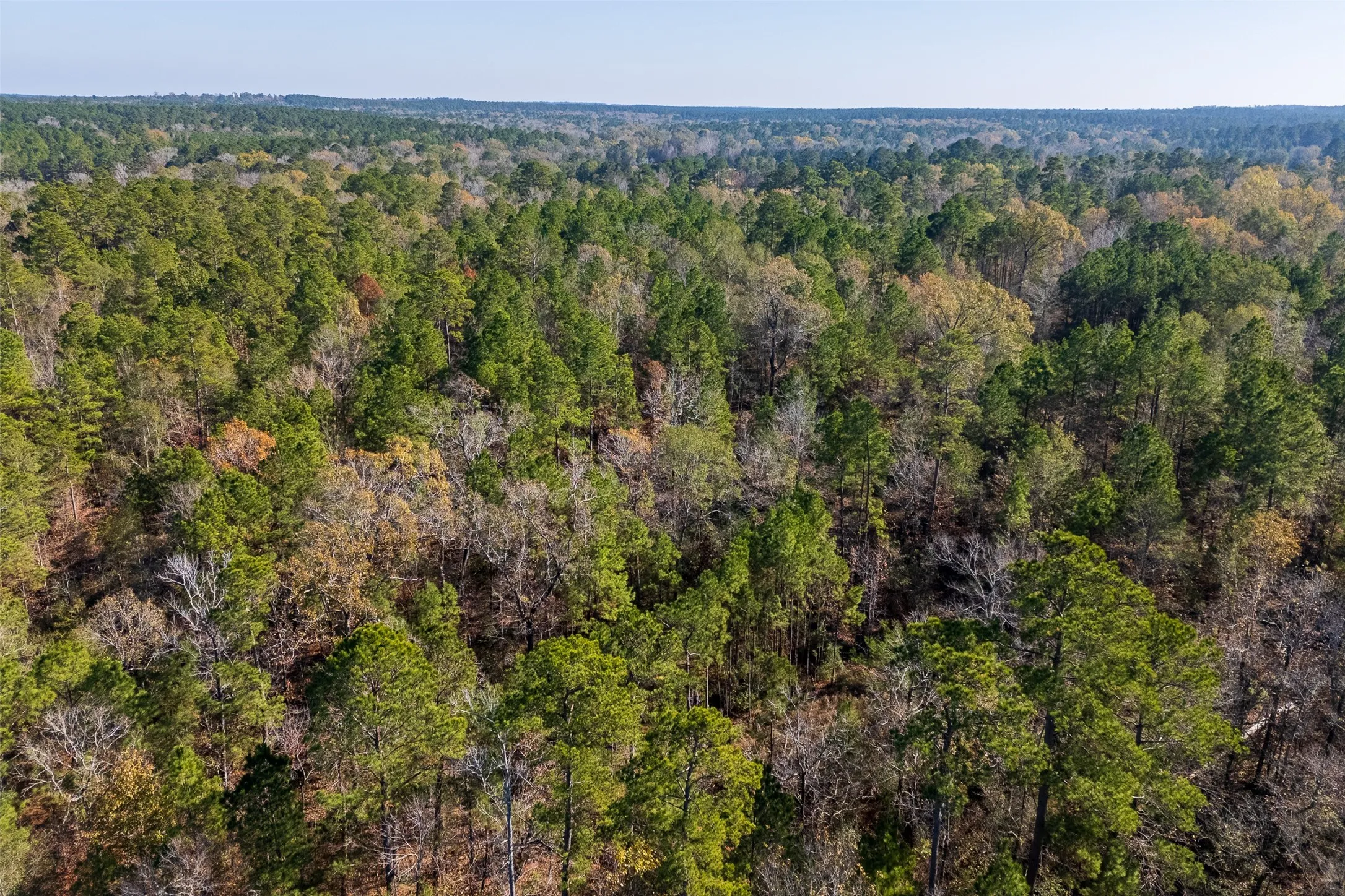 Unimproved Land For Sale in Houston County , 000 County Road 1135, Kennard, Texas 75835, 0, 0, Garage spaces, 0 Sqft, built in 0, Price $285,000, mls#21142332, Real Estate Agent in Kennard, Homes For Sale in Houston county, Homes For Sale in Kennard, Realtor in Kennard Texas, Real Estate Brokerage Independent Realty Texas, Luminita Cordes Realtor